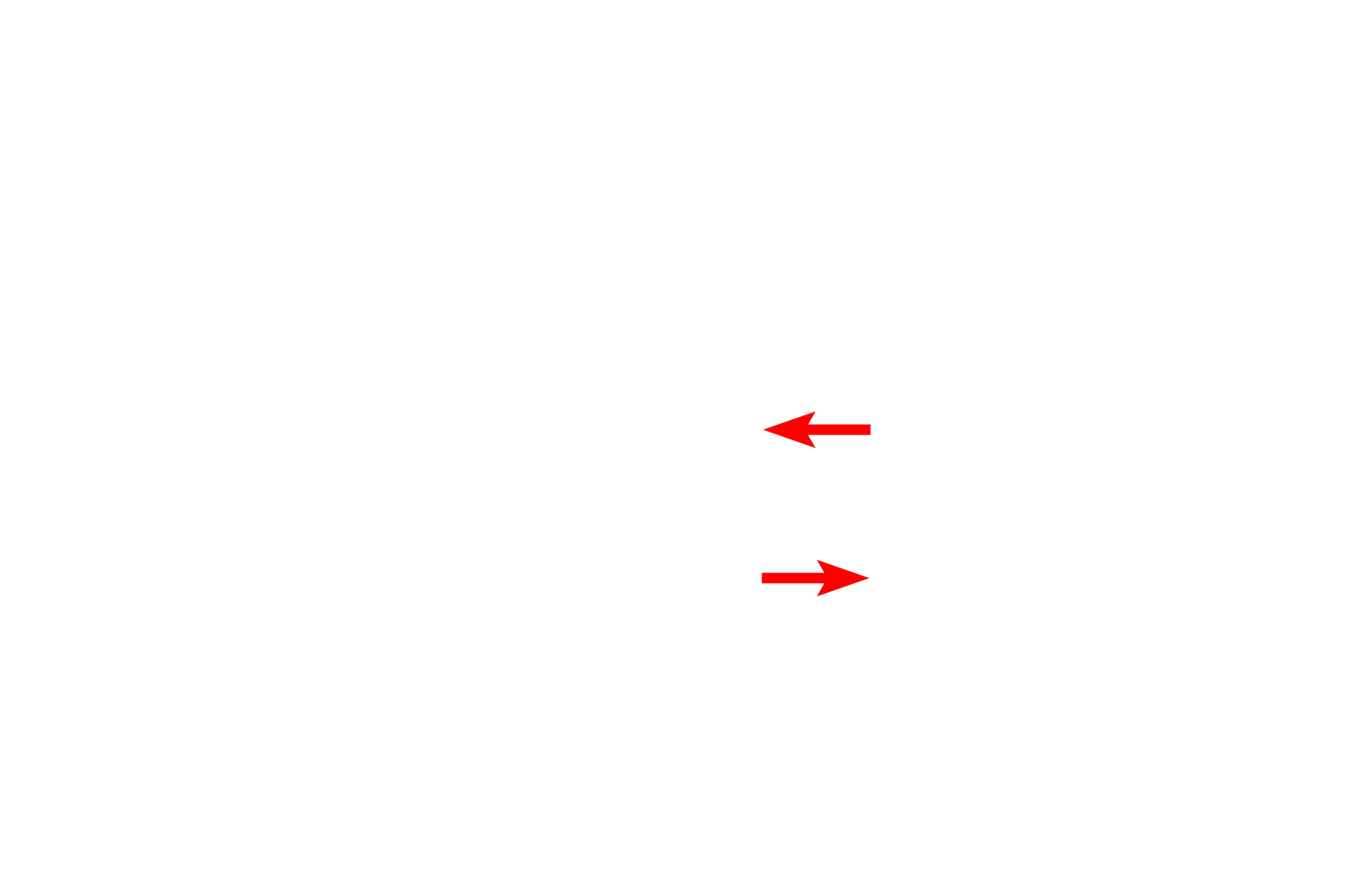 Serous membrane > <p>A serous membrane, or serosa, lines the three internal cavities that do not open to the exterior: pleural, pericardial, and peritoneal cavities. This membrane is composed of simple squamous epithelium (mesothelium) and an underlying connective tissue. During development, at least one organ protrudes into each cavity, pushing serosa ahead of itself as it does so, similar to shoving a fist into the wall of a balloon. Consequently, the serosa lines the outer perimeter of each cavity, as well as being reflected over the outside of the organ protruding into the cavity.</p>