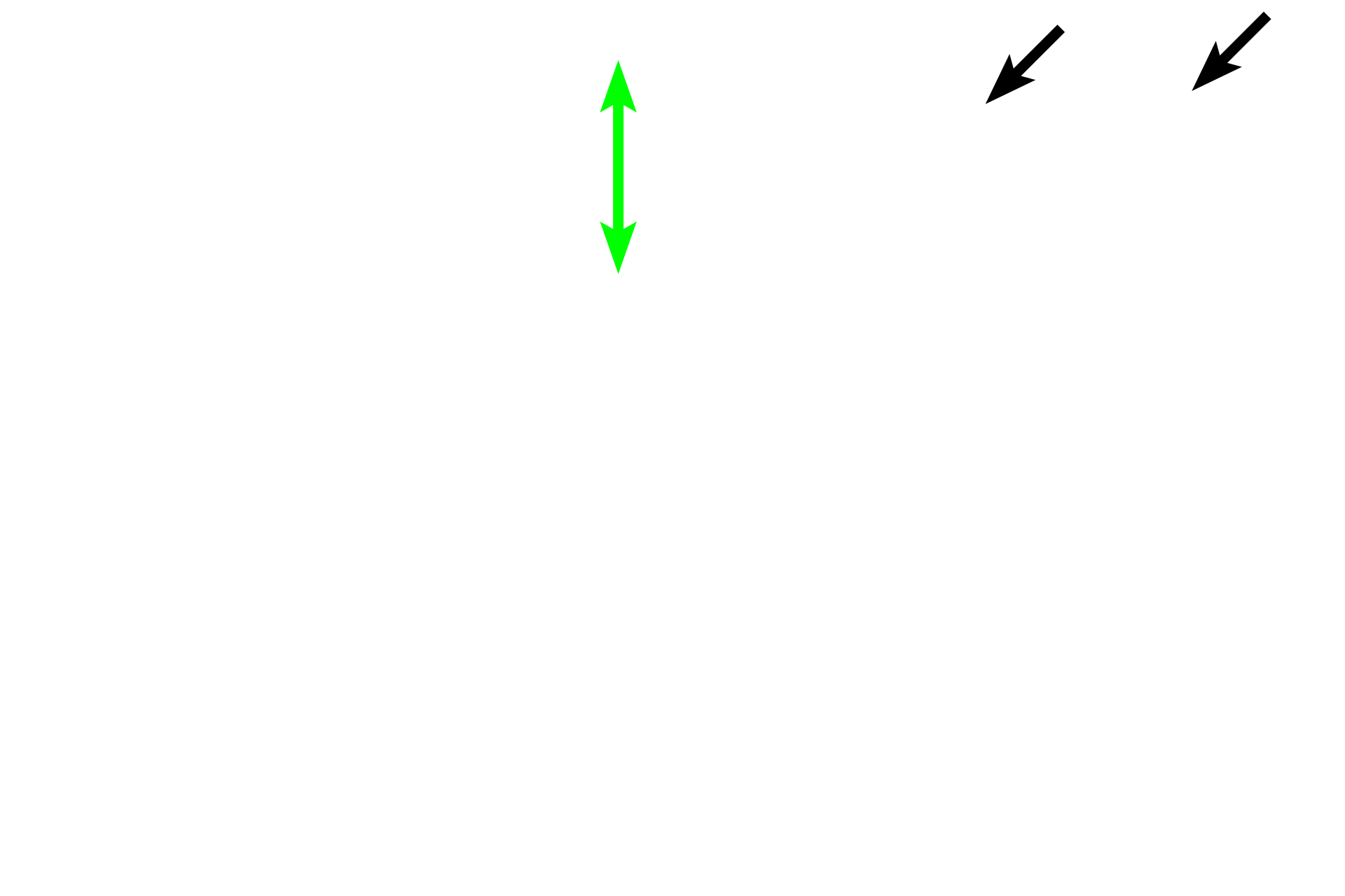 Epithelium > <p>Two of these organs have a free surface which, therefore, is lined by an epithelium.  The free surface of the skin is the exterior surface of the body and the free surface of the artery is the lumen through which blood flows.</p>
