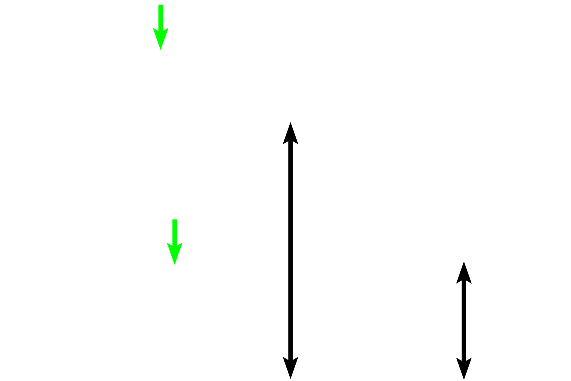 Connective tissue > <p>Several types of connective tissue are found in these three organs. One type, connective tissue proper, forms a covering for bone, the dermis of skin, the hypodermis beneath the skin, and part of the wall of the artery.</p>
