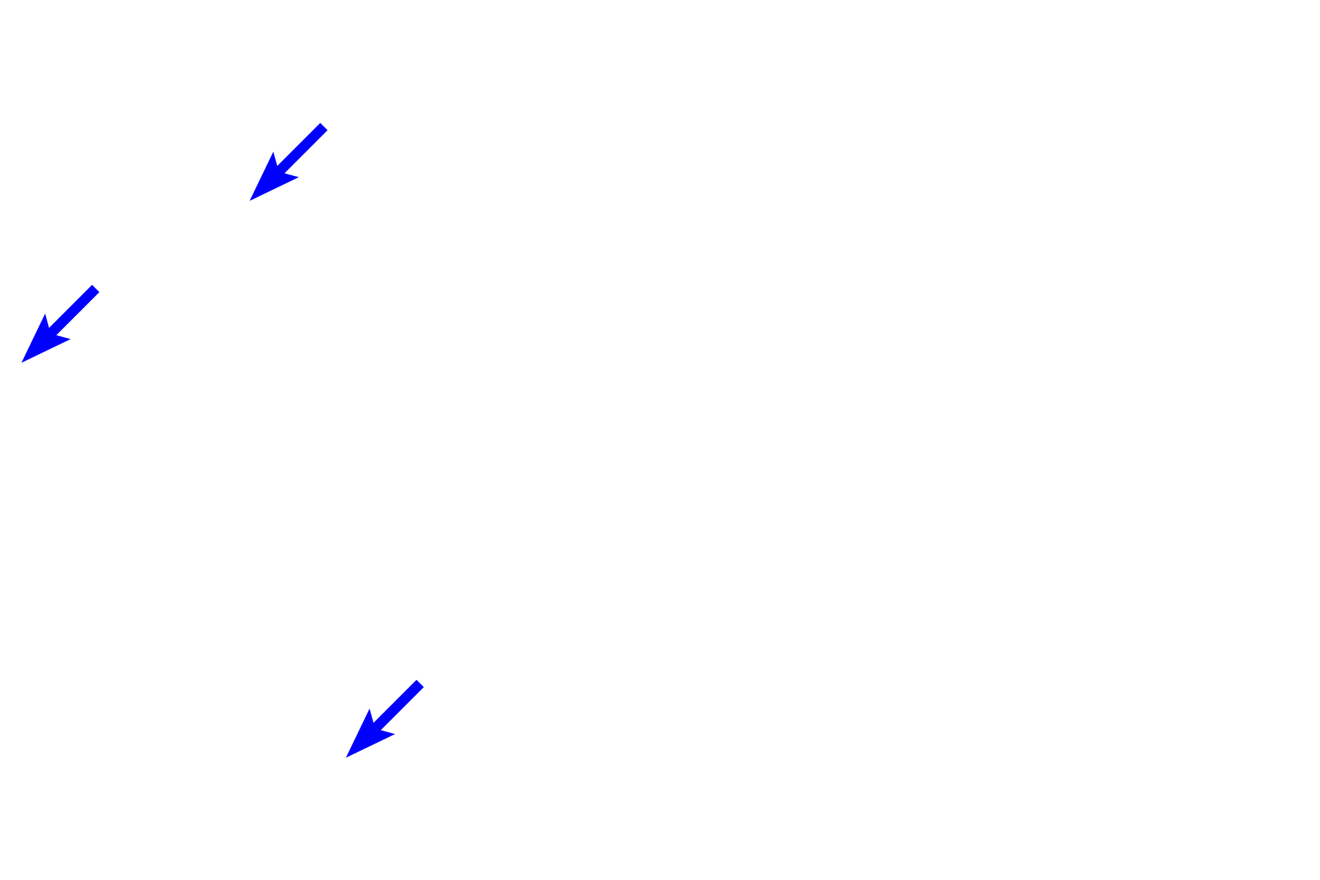 Bone > <p>Bone, another type of connective tissue, has a firm, calcified matrix that gives bone its rigidity. Bone cells are present within the matrix and on the bone surface.</p>
