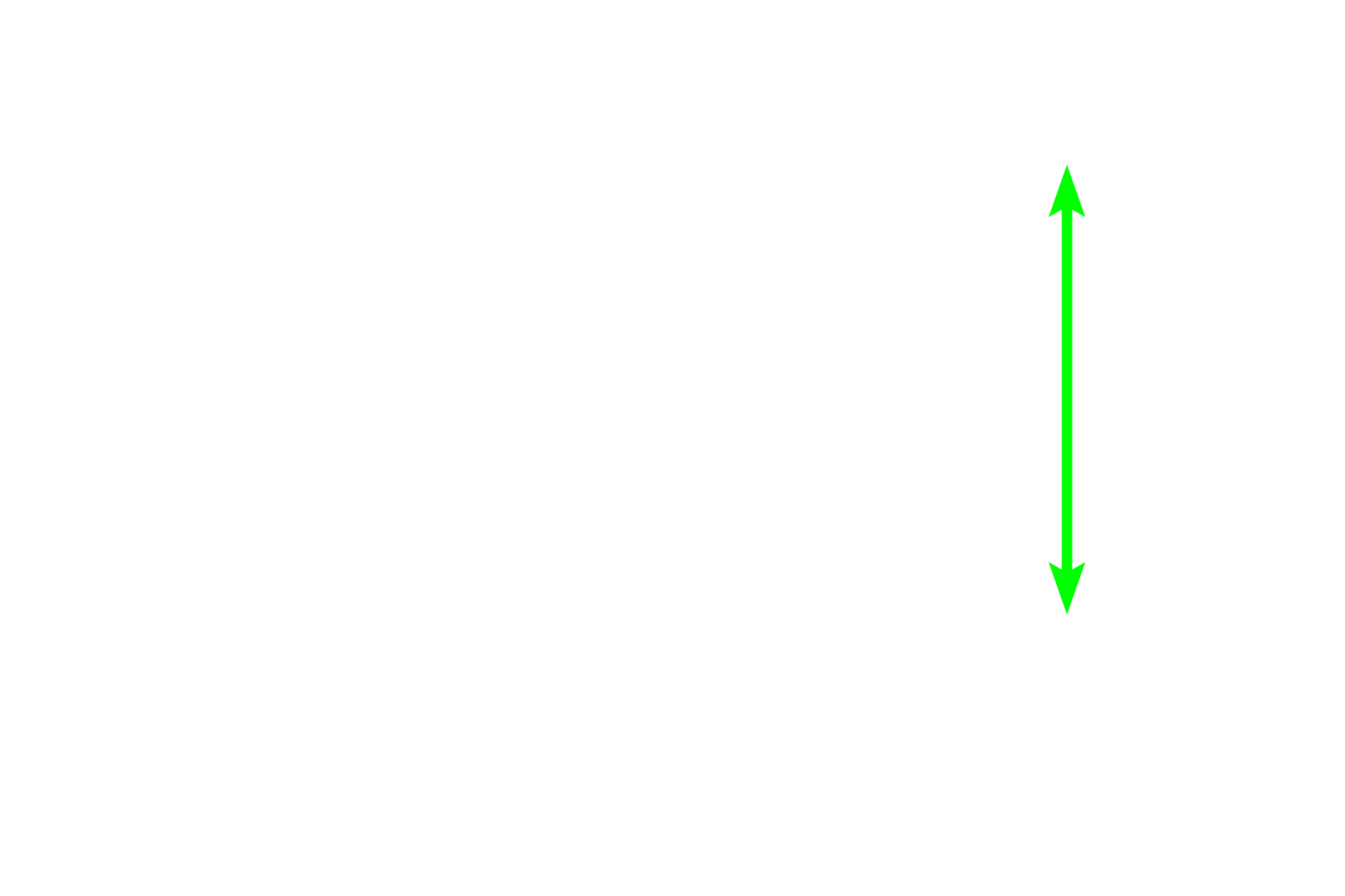 Muscle > <p>Muscle is a frequent component of organs and forms a majority of the arterial wall. Muscle also forms an important component in the walls of hollow organs, as seen in the previous image. Muscle is absent in bone, except in the walls of the vessels supplying the bones; except for a band of muscle attached to hair follicles, muscle is also absent in skin.</p>
