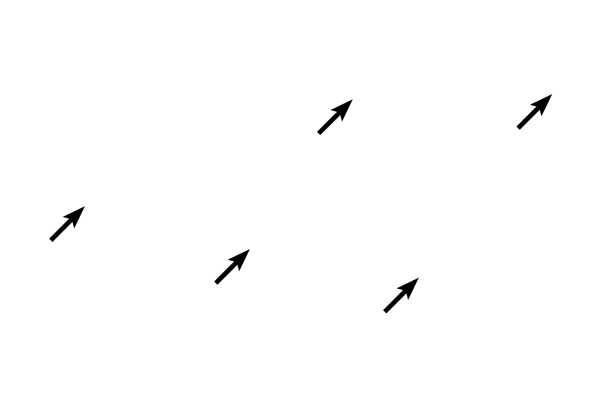 overview-2-digital-histology