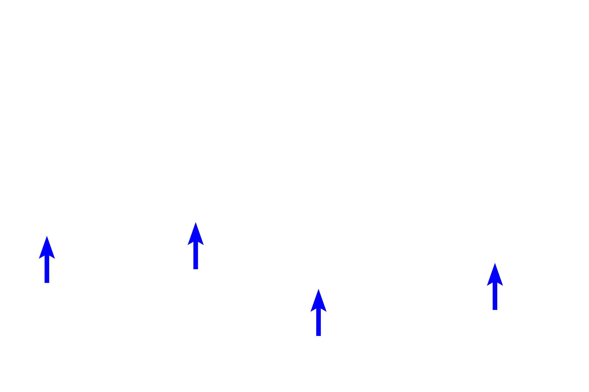 Inactive fibroblast nuclei > <p>The nucleus of an inactive fibroblast is elongated, highly heterochromatic and flattened between collagen bundles. The sparse cytoplasm can be seen extending beyond the ends of the nucleus. These cells are mostly quiescent with only minimal extracellular matrix production.</p>
