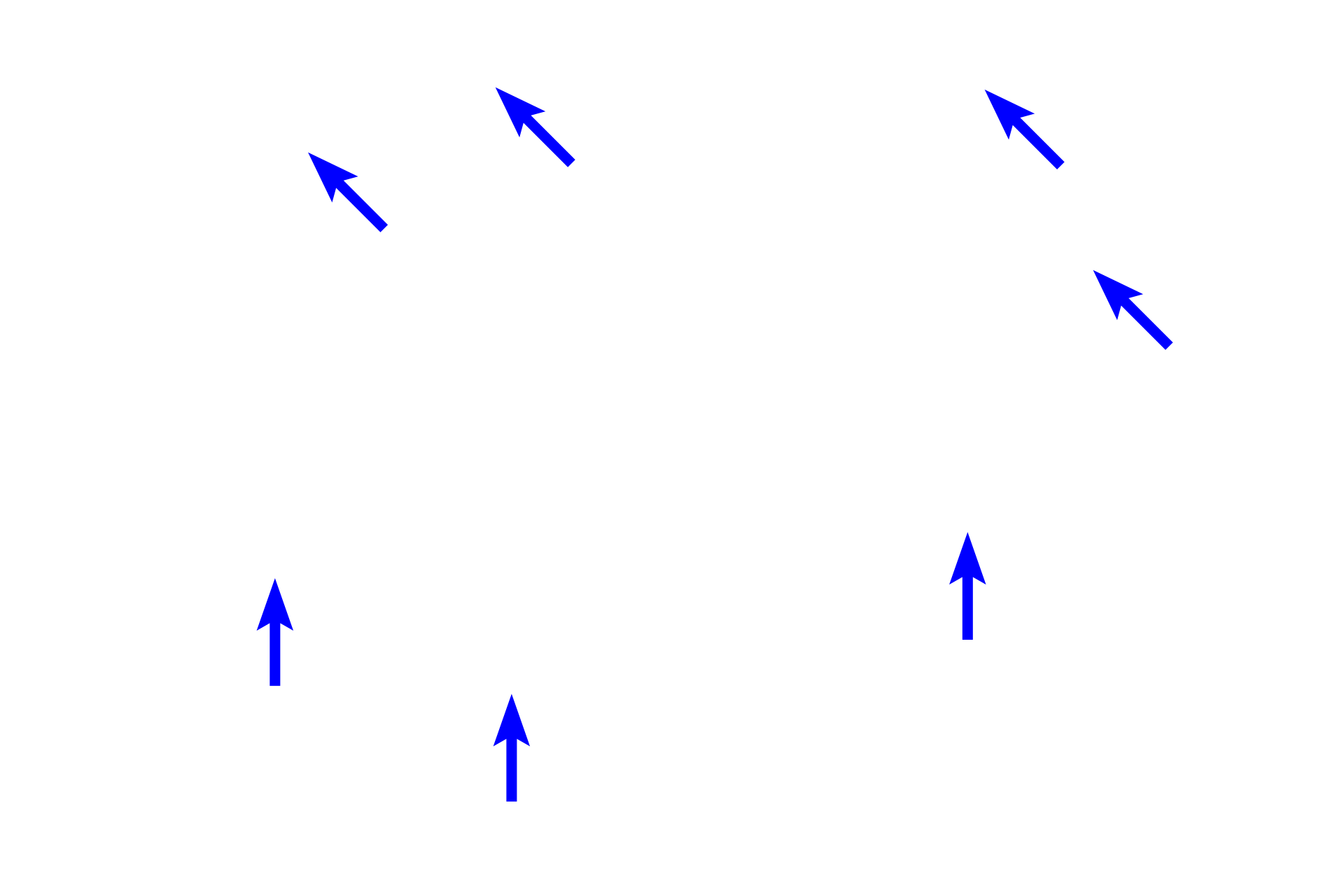 Collagen bundles > <p>The extracellular matrix surrounding active fibroblasts consists of ground substance containing highly interlaced collagen bundles of various sizes. The matrix surrounding inactive fibroblasts contains large, parallel bundles of collagen with very little ground substance.</p>
