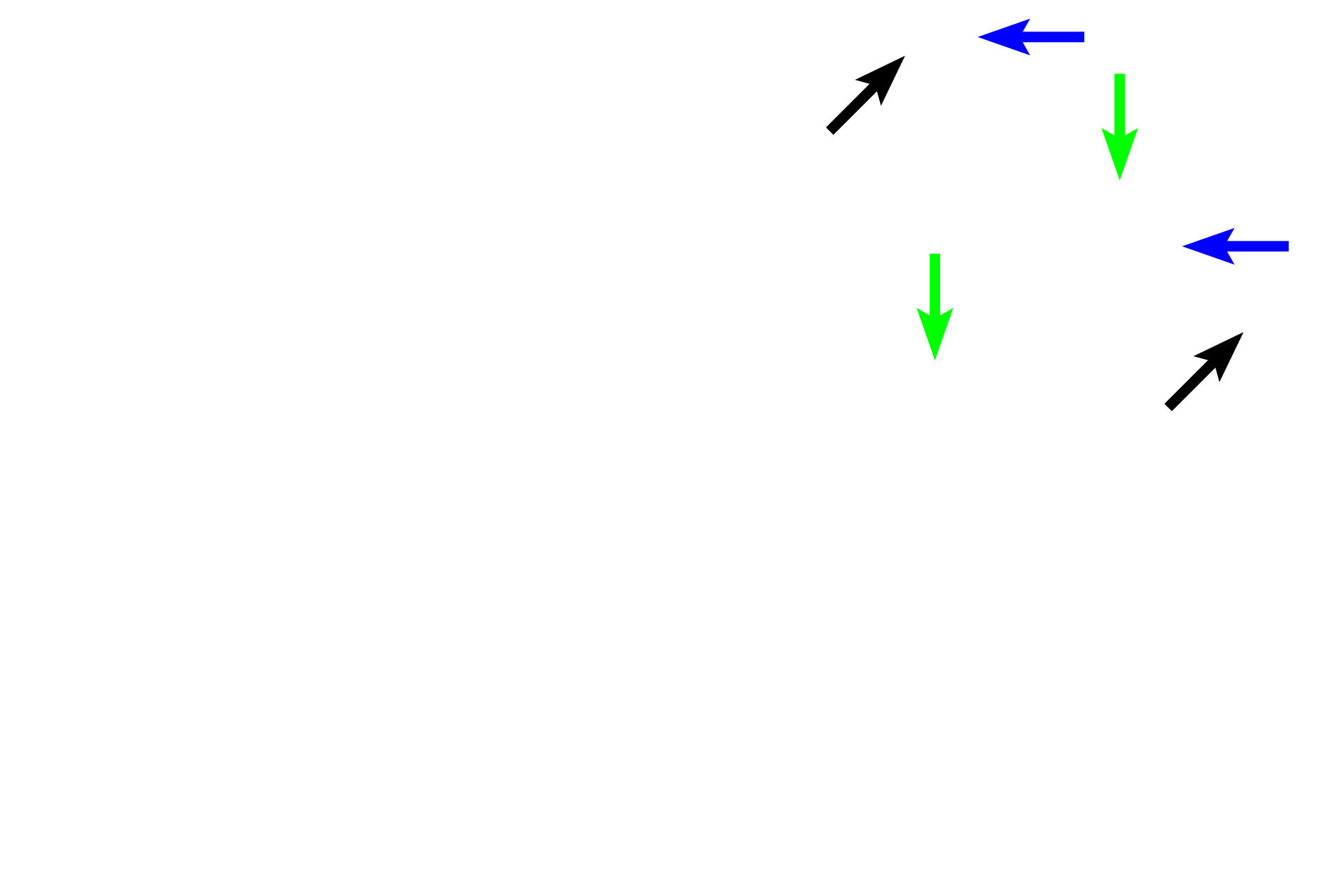 Connective tissue proper > <p>In connective tissue proper, the ground substance (black arrows) is a gel, providing padding qualities to the tissue. Fibers (blue arrows), such as collagen, elastic and reticular, provide strength and elasticity. Thirdly, are numerous cells (green arrows) including fibroblasts that produce the extracellular matrix, white blood cells, macrophages, mast cells and adipocytes.</p>
