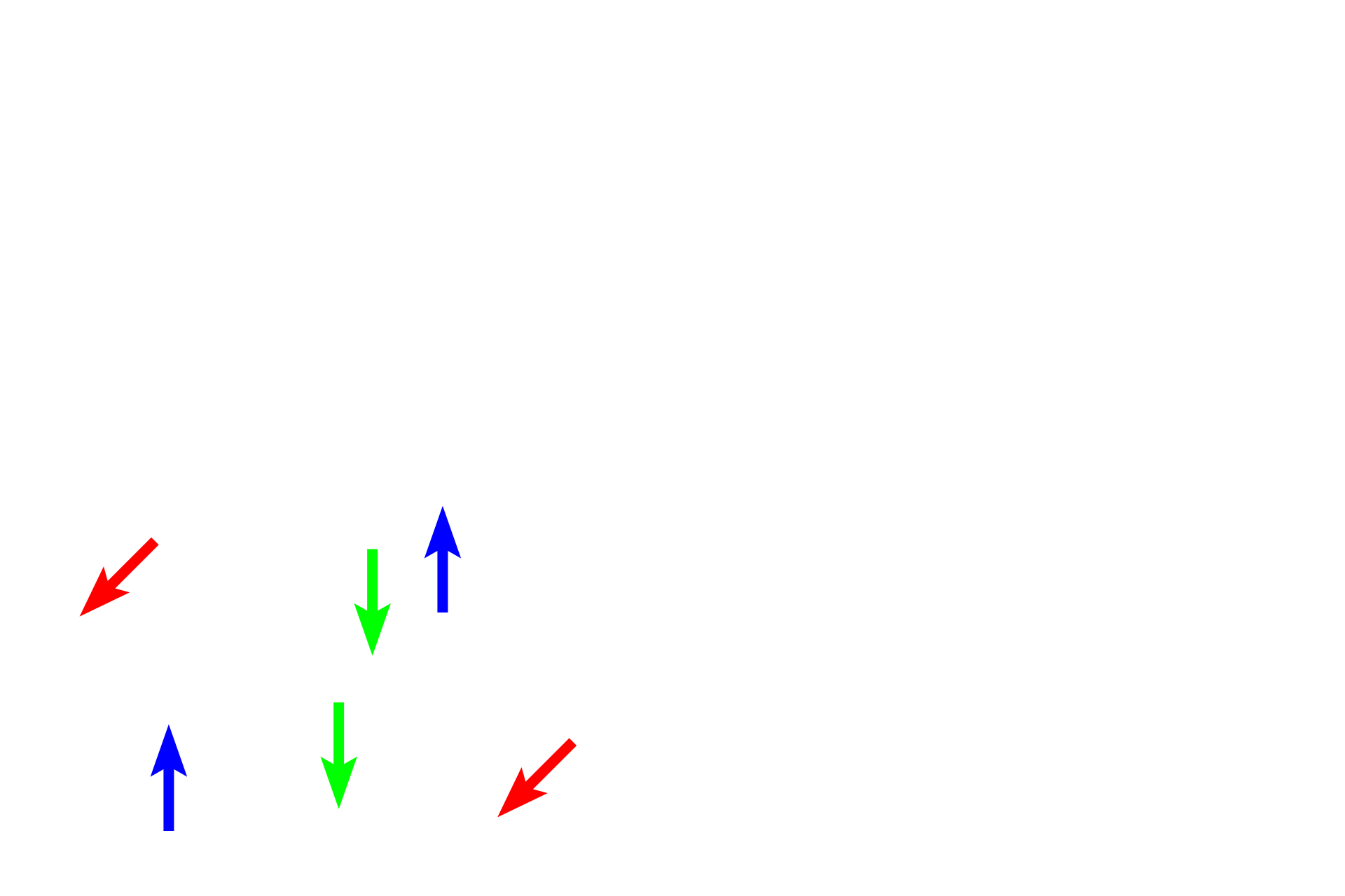 Cartilage > <p>In cartilage, the ground substance (blue arrow) is a flexible solid, providing deformable support. Fibers (green arrows) vary with cartilage type. Cartilage cells (red arrows) are called chondroblasts when they lie on the surface of cartilage and chondrocytes when they are embedded in the cartilage matrix. Both cell types produce cartilage matrix.</p>
