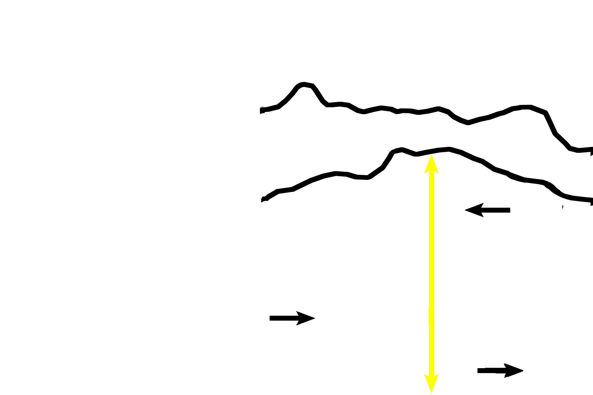 Zone of ossification > <p>In the zone of ossification (yellow arrow), osteoblasts deposit woven bone (stained red; black arrows), on the calcified cartilage framework. Because this bone is replacing cartilage, this type of bone formation called endochondral bone formation.</p>
