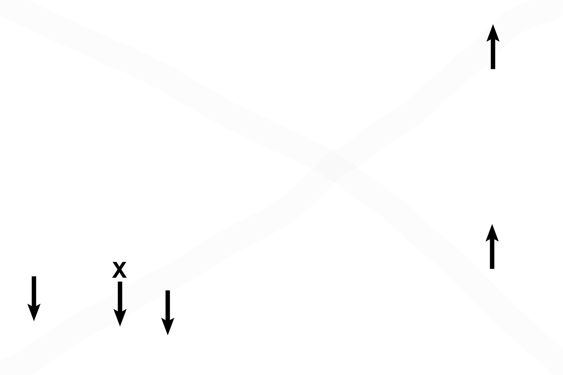  - Capillaries > <p>An extensive capillary plexus, supplied by branches of the pulmonary artery, facilitates gaseous exchange.  These vessels bulge into the alveolar spaces, greatly increasing their surface area for diffusion of oxygen and carbon dioxide.  An endothelial cell nucleus (X) is visible in one of these capillaries. </p>
