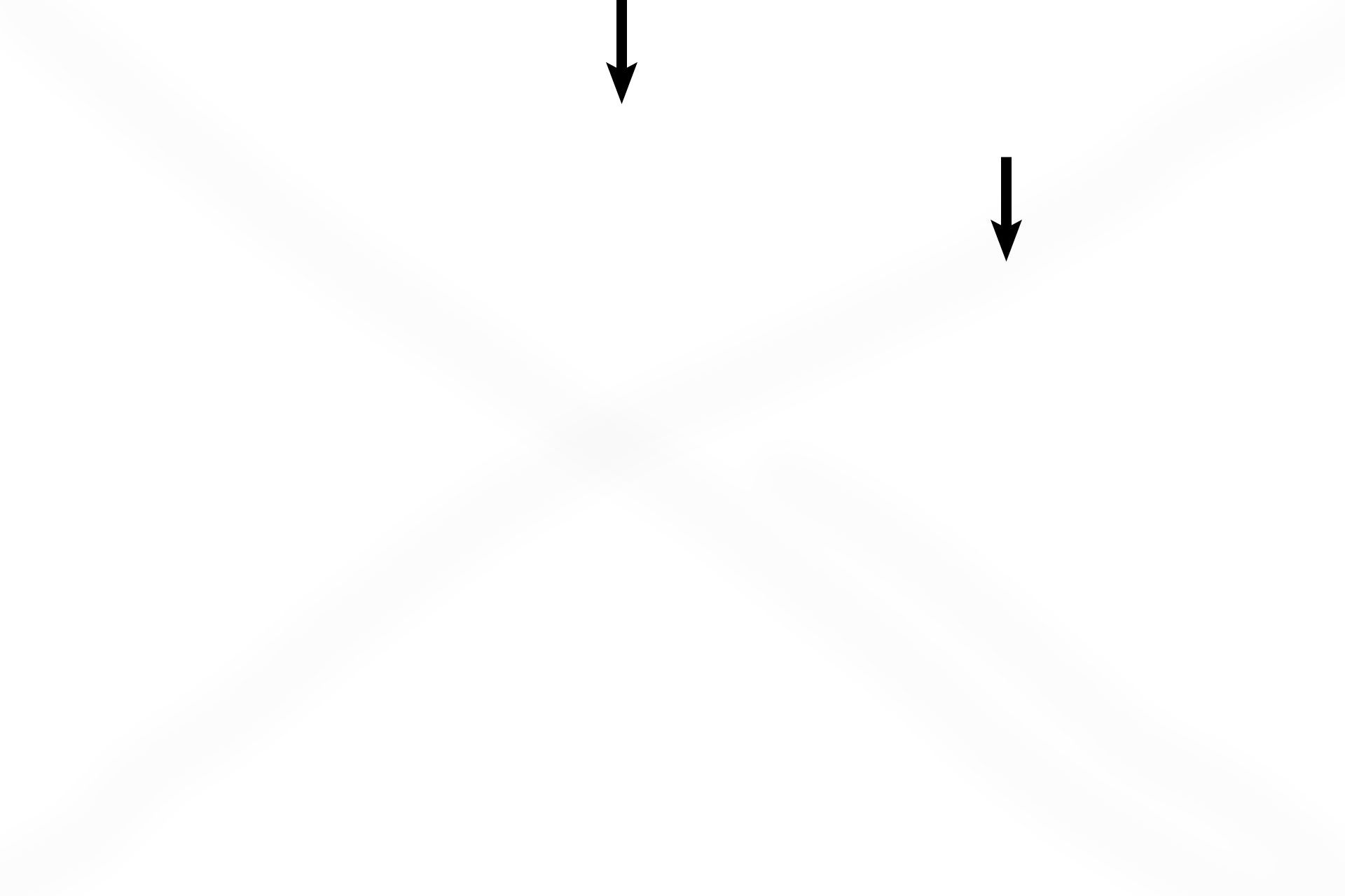 Epithelium <p>Alveolar ducts are formed by knobs lined by simple cuboidal epithelium, without cilia or club cells. The epithelium overlies very thin layers of connective tissue and strands of smooth muscle. The (inter)alveolar septum separating individual alveoli possesses a capillary bed where gas exchange occurs. 400x</p>
