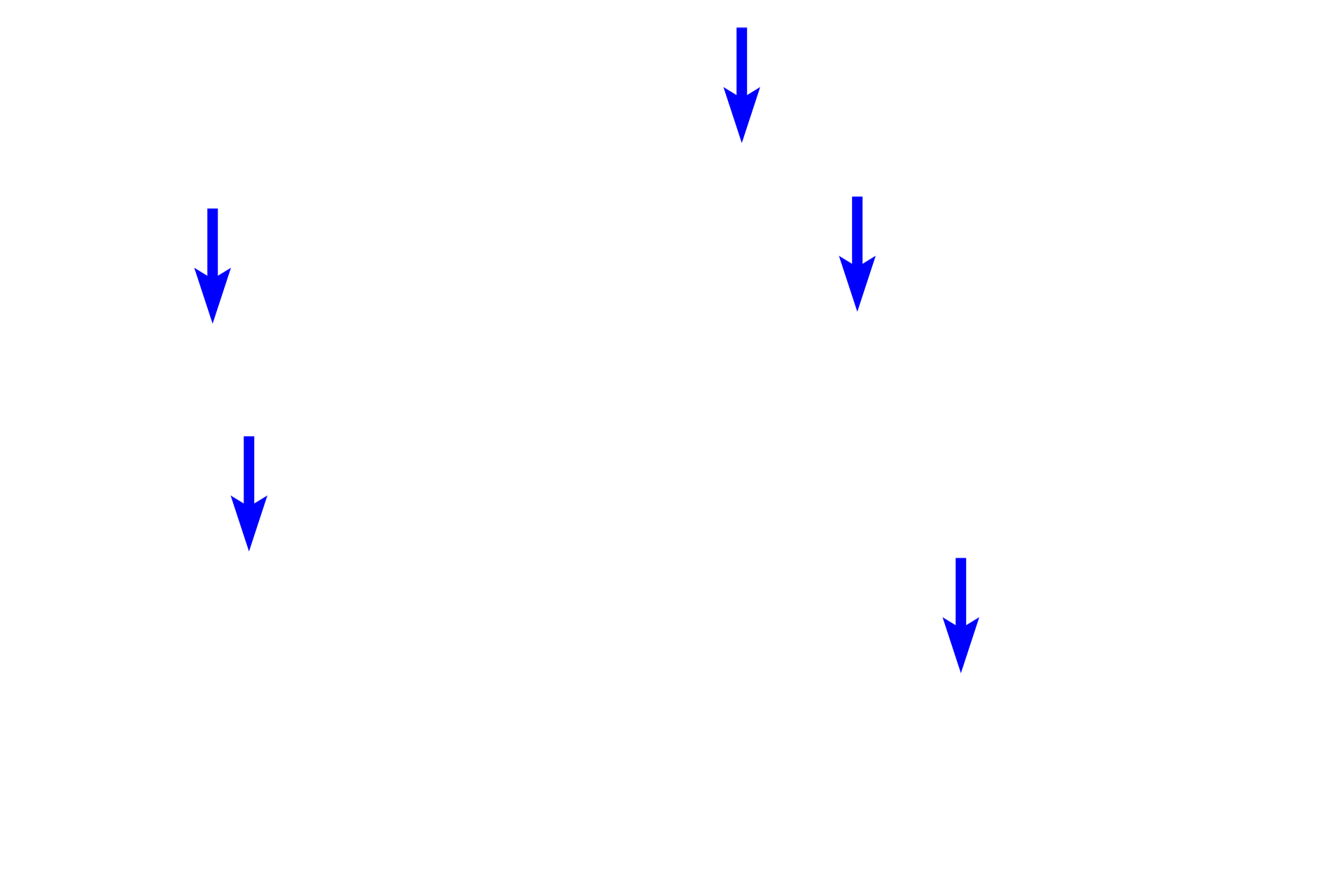 Collagen fibers  (ls) <p>This tissue is characterized by thick, interlacing collagen fibers and bundles, with reduced intervening gelatinous ground substance. Fibers are seen sectioned longitudinally (ls) and transversly (xs). The majority of cells are fibroblasts. All connective tissue proper possesses elastic fibers, however, they are difficult to distinguish from collagen with this hematoxylin and eosin stain. 400x</p>
