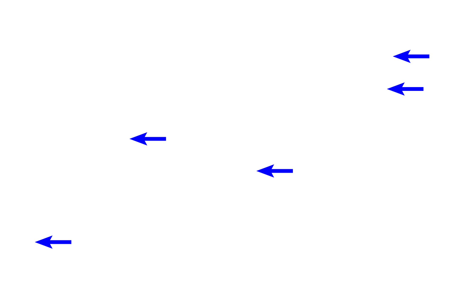 Fibroblast nuclei <p>This tissue is characterized by thick, interlacing collagen fibers and bundles, with reduced intervening gelatinous ground substance. Fibers are seen sectioned longitudinally (ls) and transversly (xs). The majority of cells are fibroblasts. All connective tissue proper possesses elastic fibers, however, they are difficult to distinguish from collagen with this hematoxylin and eosin stain. 400x</p>
