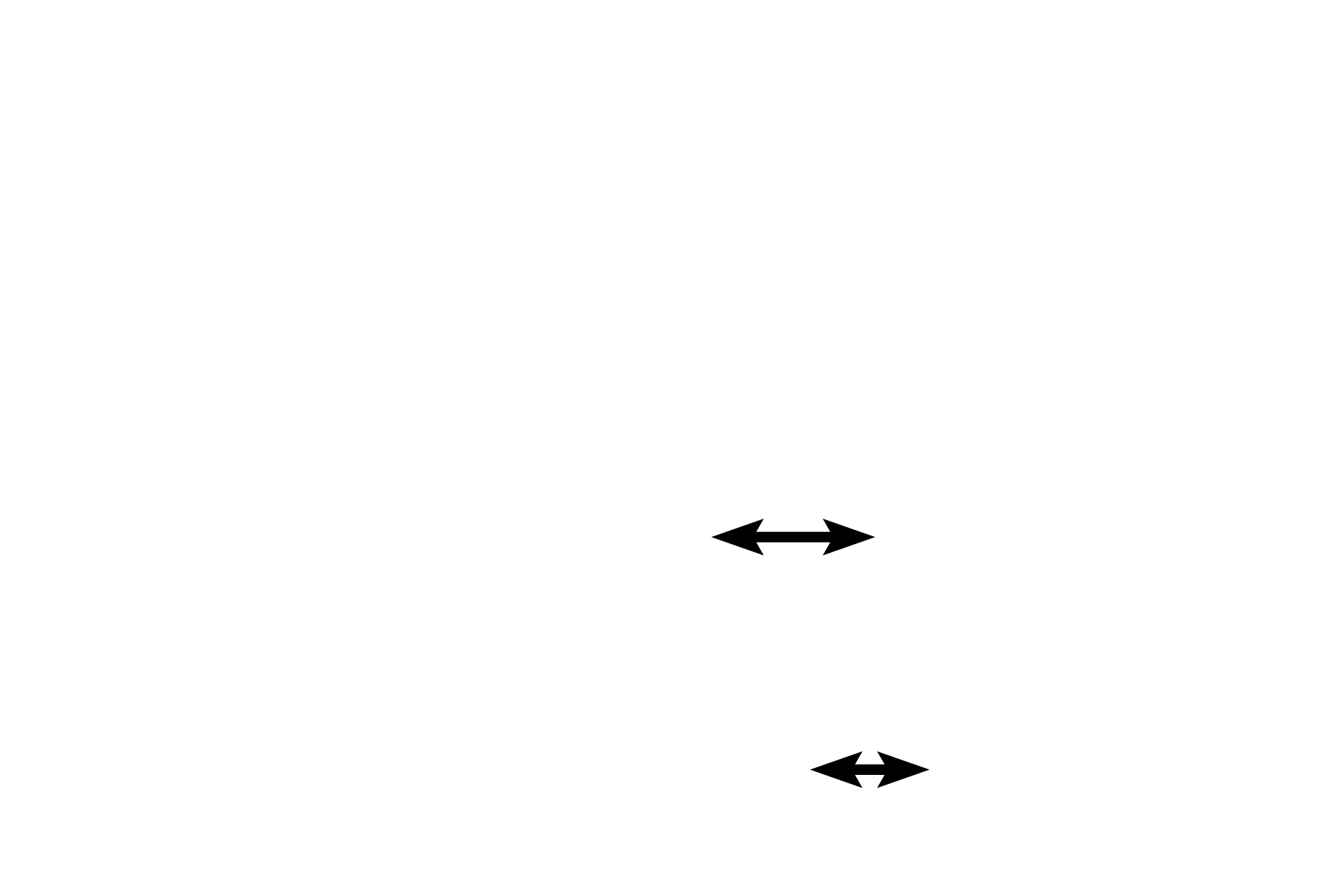 Trabeculum <p>Dense irregular connective tissue provides sturdy support, such as in capsules around organs. Extensions from the capsule, called trabeculae, project into the organ, providing additional structural support for the parenchyma as well as forming internal compartments and subdivisions. Active and inactive fibroblasts are present among the densely arranged collagen fibers. Spleen 200x</p>
