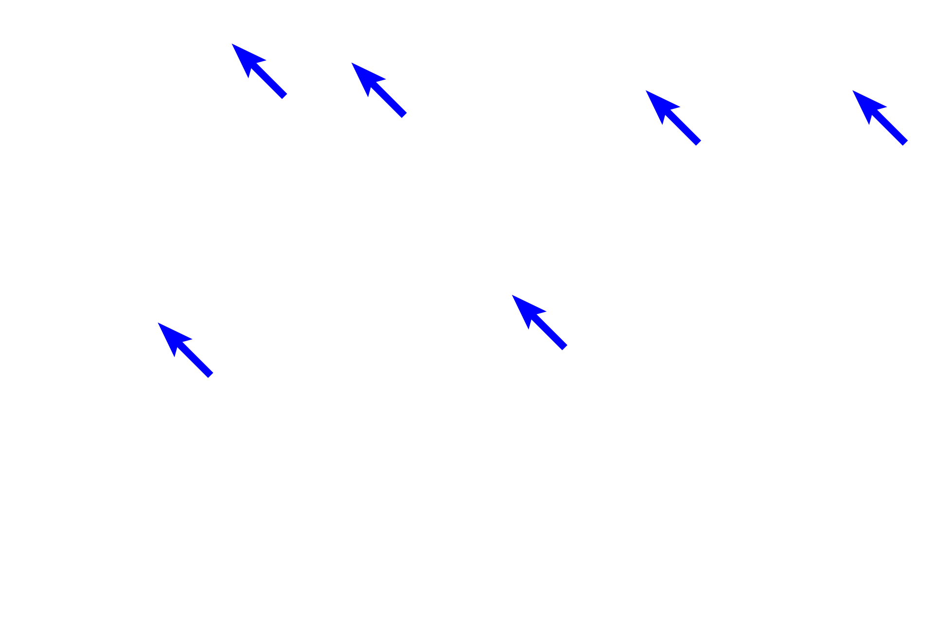 Epithelium <p>In a typical organ, loose connective tissue is located immediately beneath an epithelium, providing padding, allowing diffusion and cellular migration, but offering little strength.  A thicker layer of dense connective tissue, typically underlying the loose tissue, possesses larger caliber collagen fibers that provides strength and resistance.  These sections of small intestine (left) and skin (right) illustrate this organization. 200x, 400x</p>
