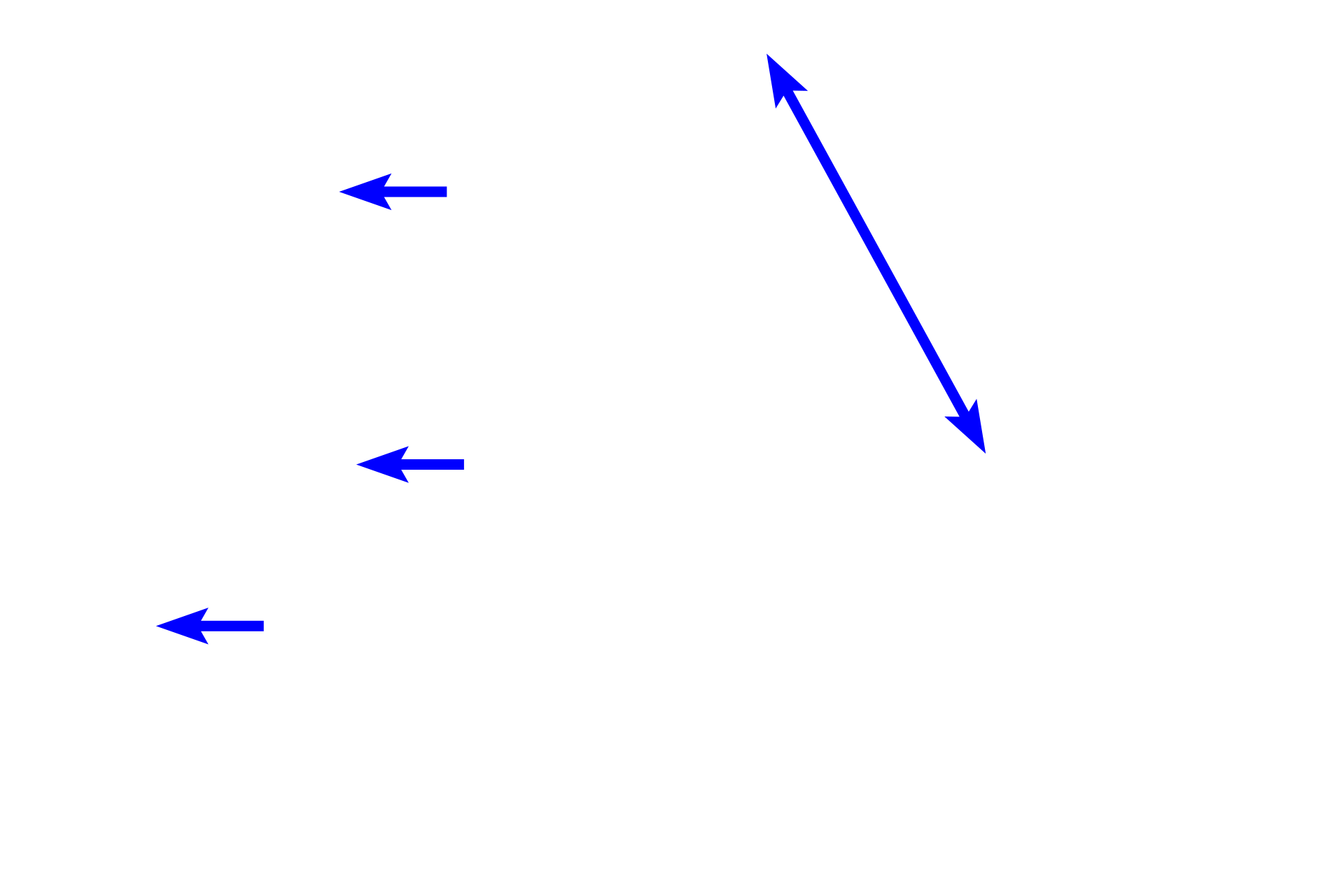 Loose connective tissue > <p>Loose connective tissue is present beneath all epithelia and is highly vascularized. The high content of ground substance and the loose fiber arrangement provide padding and allow for diffusion and cell migration. The loose connective tissue in the small intestine is highly cellular due to migrating white blood cells.</p>
