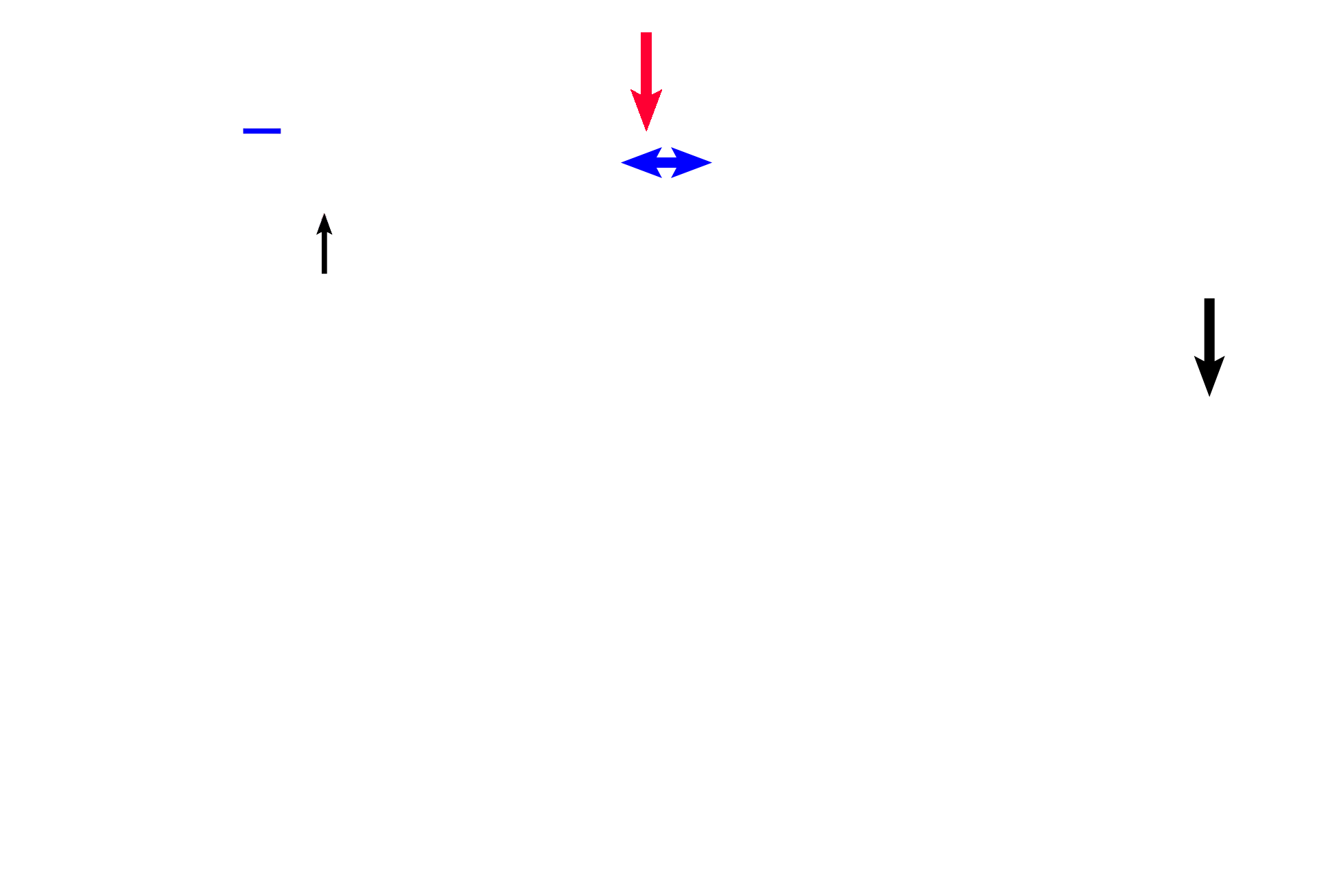  - Semicircular ducts > <p>Semicircular ducts (black arrows), are portions of the membranous labyrinth that are suspended in each semicircular canal and that are attached to the utricle. An enlargement at one attachment of each duct forms the ampulla (blue arrow and line). The crista ampullaris (red arrow) is the receptor located in each ampulla.</p>
