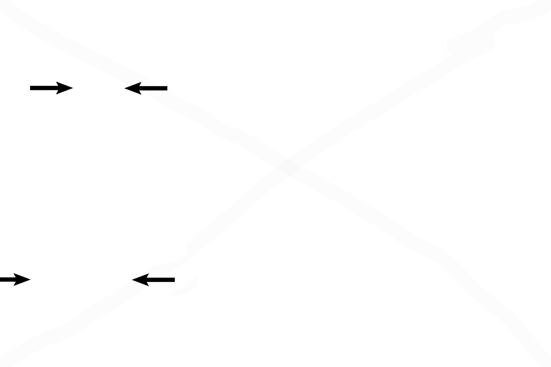 Outer circumferential <br>lamellae > <p>On the left, an active periosteum is forming outer circumferential lamellae, increasing the thickness of this bone. These lamellae are formed by intramembranous ossification deposited by the periosteum.</p>
