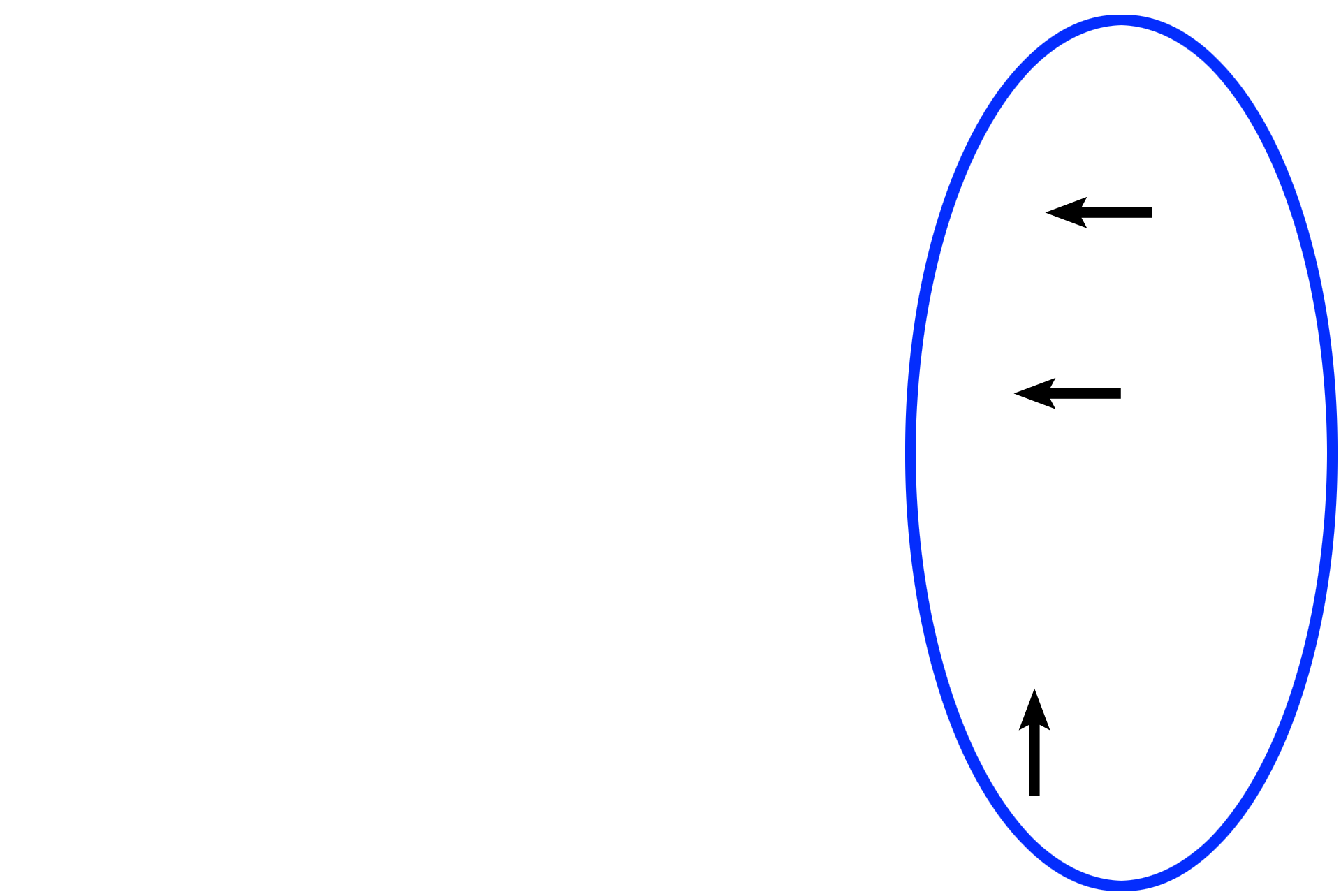 Auricle > <p>The auricle, or pinna (oval), consists of an inner skeleton of elastic cartilage (arrows) covered by a layer of thin skin.</p>
