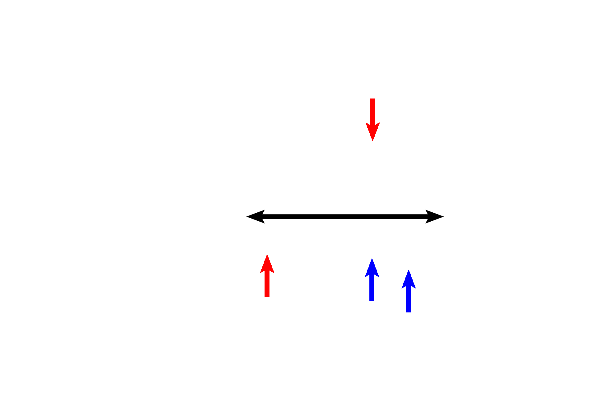 External meatus > <p>The external auditory meatus (black arrow) is an S-shaped tube terminating in the tympanic membrane. Elastic cartilage (blue arrows) forms the framework for the outer one-third of the meatus, while the temporal bone (red arrows) supports the inner portion.</p>
