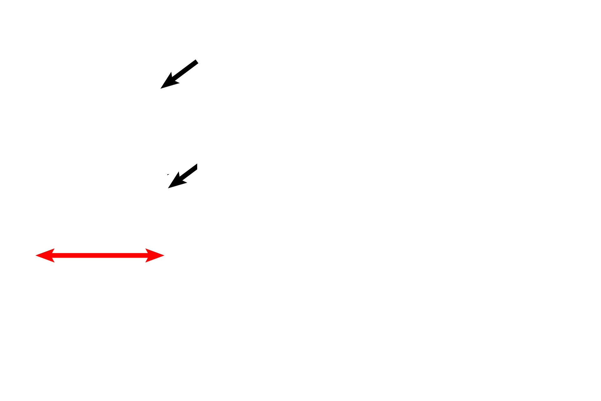 Left panel > <p>A region of middle ear mucosa and its supporting temporal bone (red arrow) are shown. As in most of the middle ear, the epithelium (black arrows) is simple squamous with a thin underlying, vascular connective tissue.</p>
