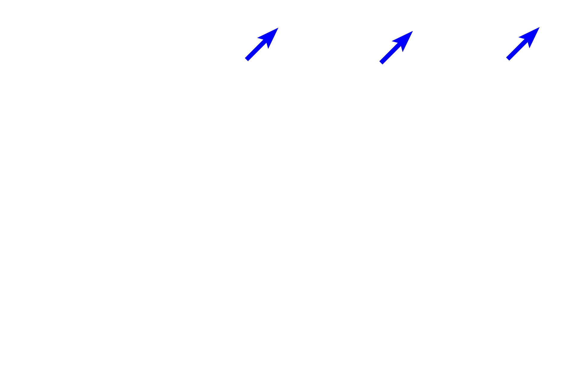 Cilia > <p>In addition to cilia associated with epithelial cells, the peripheral neuronal process of each bipolar neuron enlarges at the surface of the epithelium to form an olfactory vesicle from which multiple, lengthy, non-motile cilia project. These cilia act as receptor sites for olfactory stimuli.</p>
