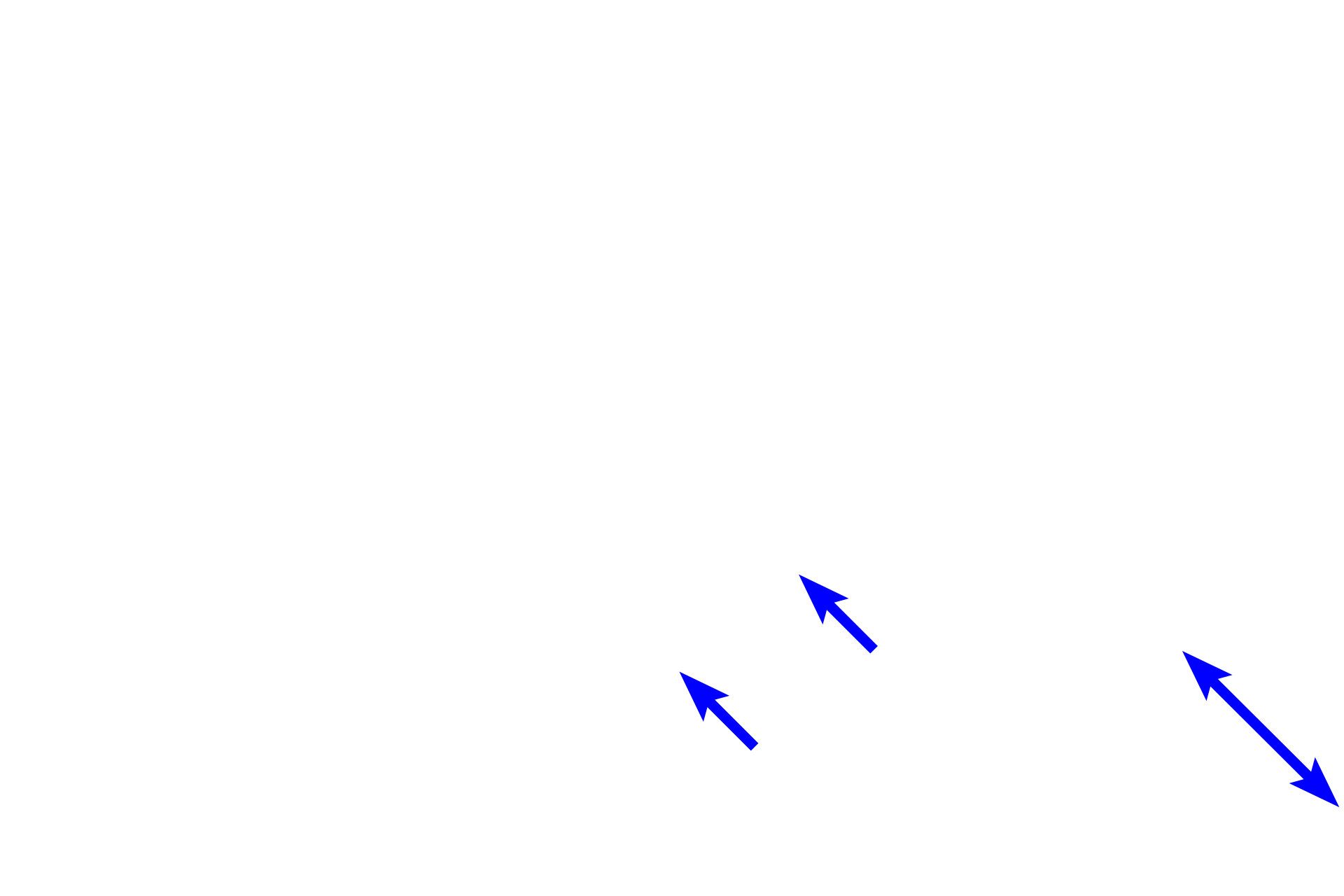 Nerves > <p>Sensory, cranial neurons are also present in the lamina propria. These neurons carry general sensory input as well as the special sense of smell.</p>
