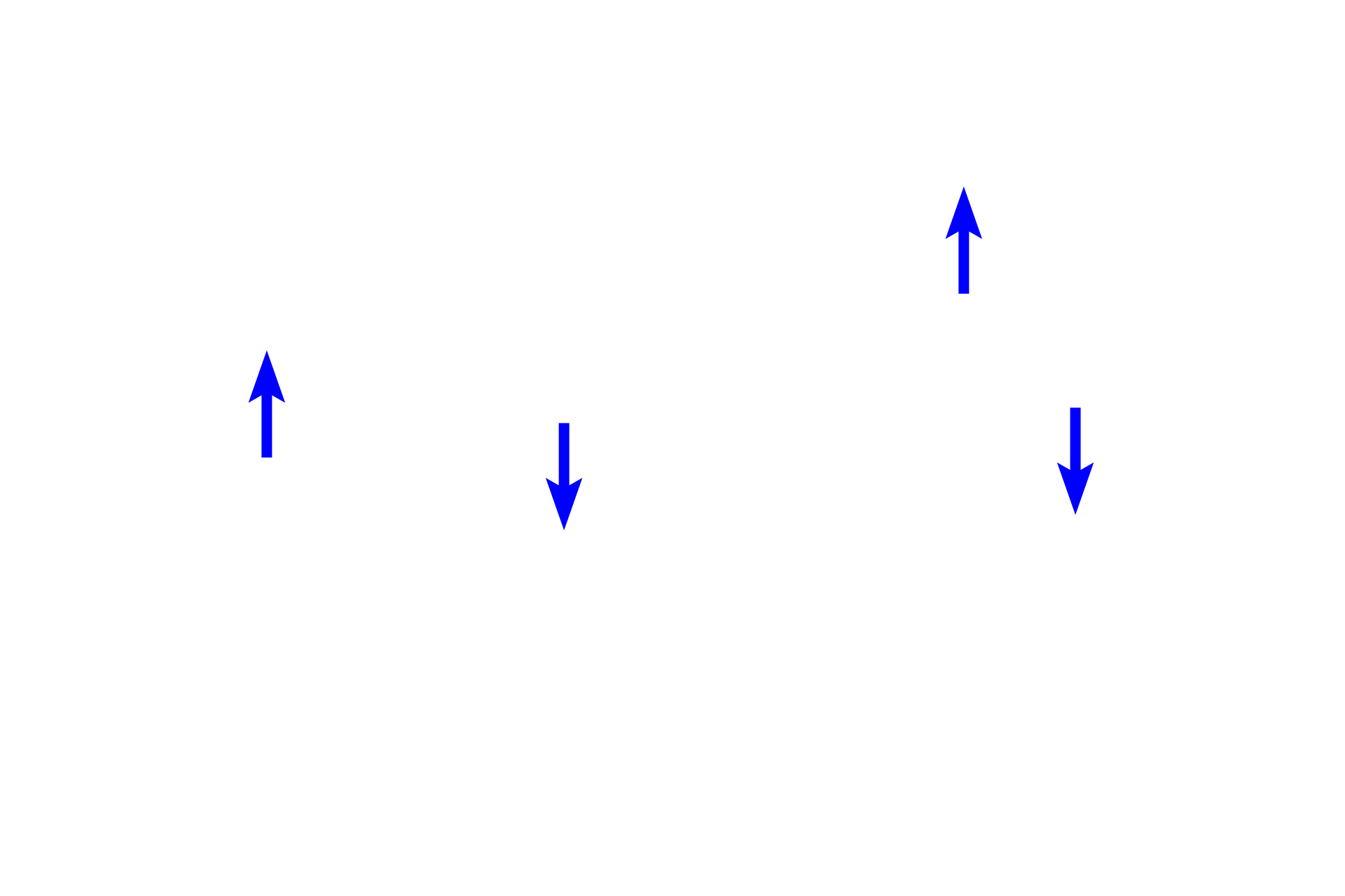 Epithelium <p>A secondary bronchus is lined by a pseudostratified columnar epithelium with cilia and goblet cells.  The lamina propria contains smooth muscle and cartilage plates. Longitudinally oriented elastic fibers are still present beneath the epithelium, however, they are not readily demonstrable at this magnification. 300x</p>
