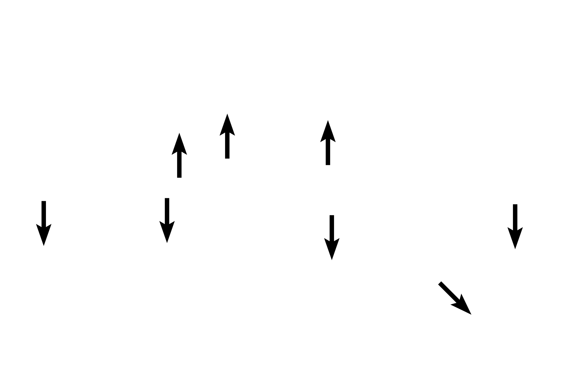 Associated alveoli > <p>These alveoli are components of the wall of the respiratory bronchiole.  The lumen of the bronchiole is continuous with that of the alveoli.</p>
