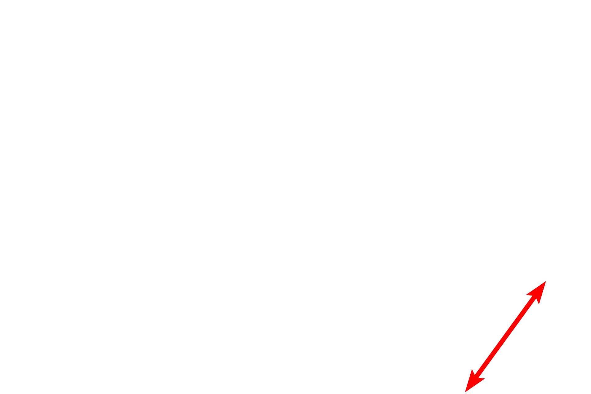 Skin <p>This image shows a sagittal section of the lip.  The external surface of the lip is covered by skin with a thin, stratified squamous keratinized epithelium and hair follicles (on right).  The skin transitions to the vermillion zone (red margin) which forms the red portion of the lip, followed by the oral mucosa which lines the inner portion of the lip.  Beneath the oral mucosa are numerous minor salivary glands (labial glands).  The orbicularis oris muscle (skeletal) occupies the central core of the lip.  (Iron hematoxylin/alcian blue stain) 100x, 10x</p>
