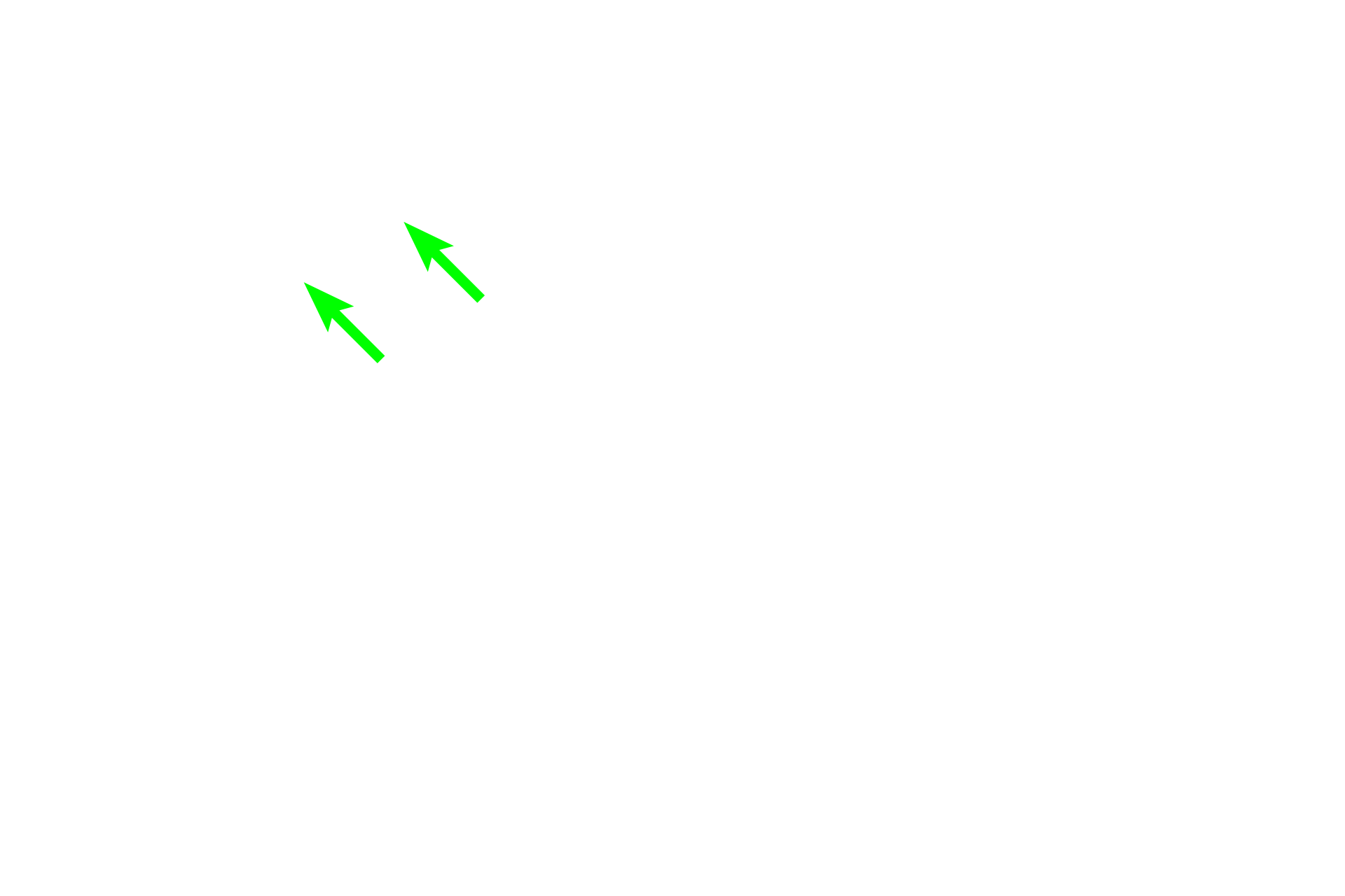 Bone-lining cells > <p>Bone-lining cells are present on the surface of bone where no active growth or resorption is occurring. They are thought to provide maintenance and nutritional support for osteocytes and may have osteoprogenitor capacity.</p>
