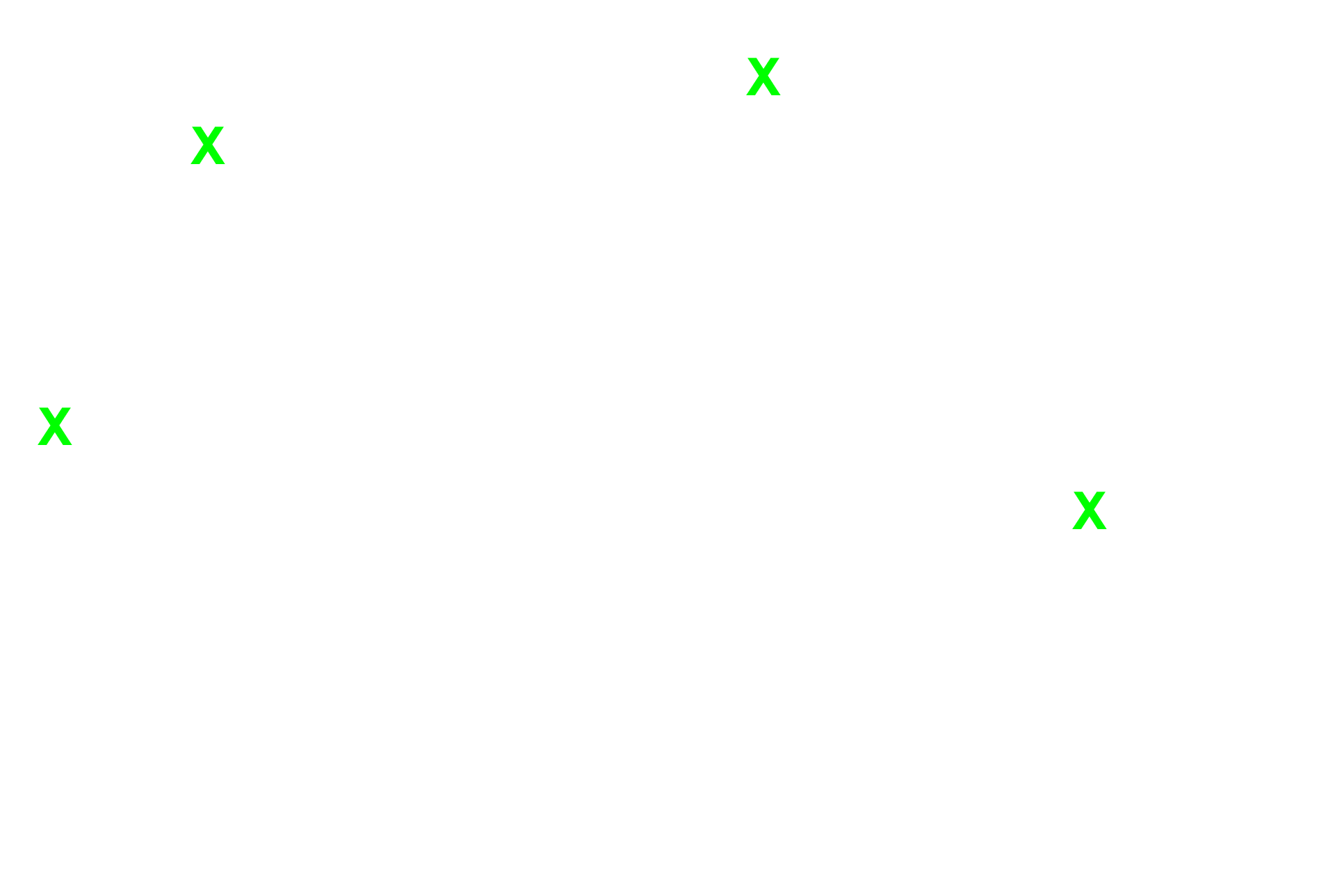 Extracellular matrix > <p>The extracellular matrix consists of mineralized osteoid and fills the area between osteocytes.</p>
