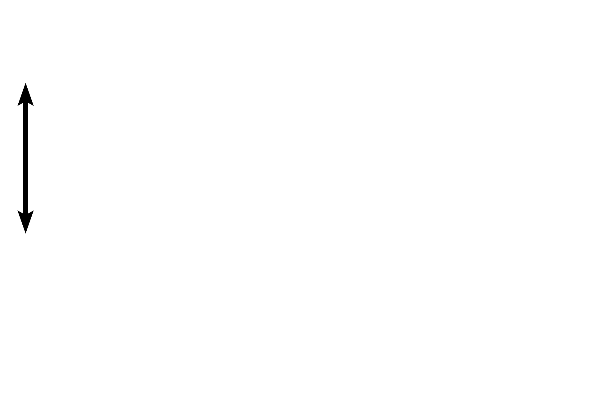 Mesovarium > <p>The ovary is suspended from the broad ligament of the uterus by the mesovarium, through which blood vessels enter and leave the ovary.</p>
