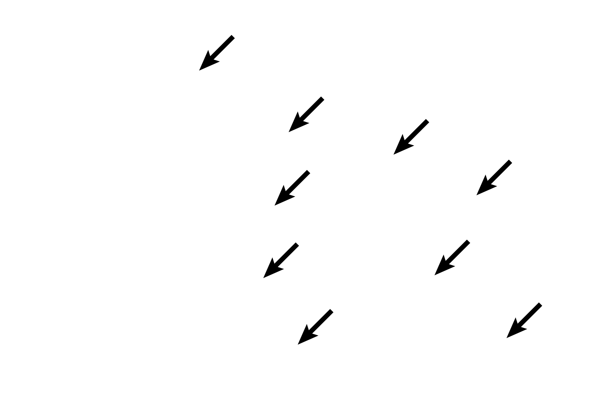 Germ cells > <p>Germ cells divide and cytodifferentiate to form haploid spermatozoa.  The entire process, called spermatogenesis, involves several stages of development. </p>
