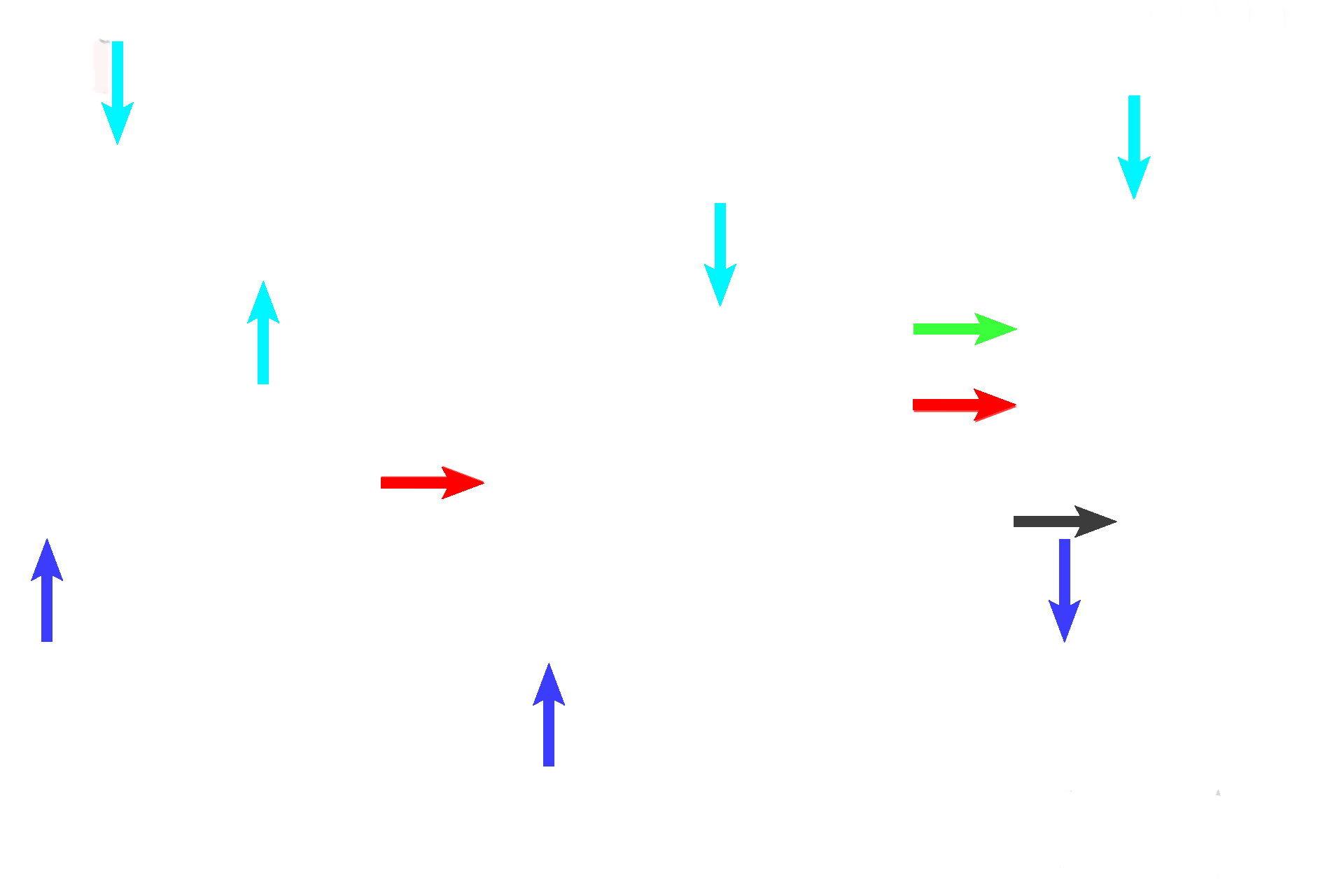 Meiosis > <p>Meiosis is a two-division process whereby diploid primary spermatocytes (blue arrows) divide by the first meiotic division (black arrow on right) into haploid secondary spermatocytes (red arrows).  Secondary spermatocyes divide by the second meiotic division (green arrow on right) to form haploid spermatids (light blue arrows).</p>
