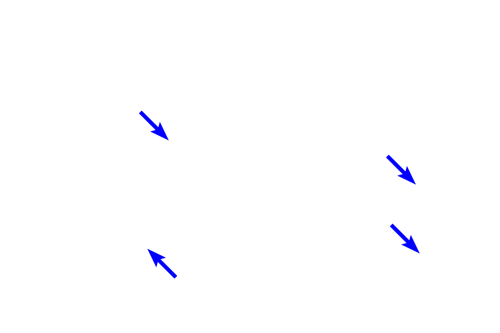 Chromosomes <p>During telophase, the nuclear envelope and nucleoli reform, and the chromosomal DNA decondenses.  The developing cleavage furrow indicates the division of the cytoplasm (cytokinesis) and the formation of identical daughter cells.</p>
