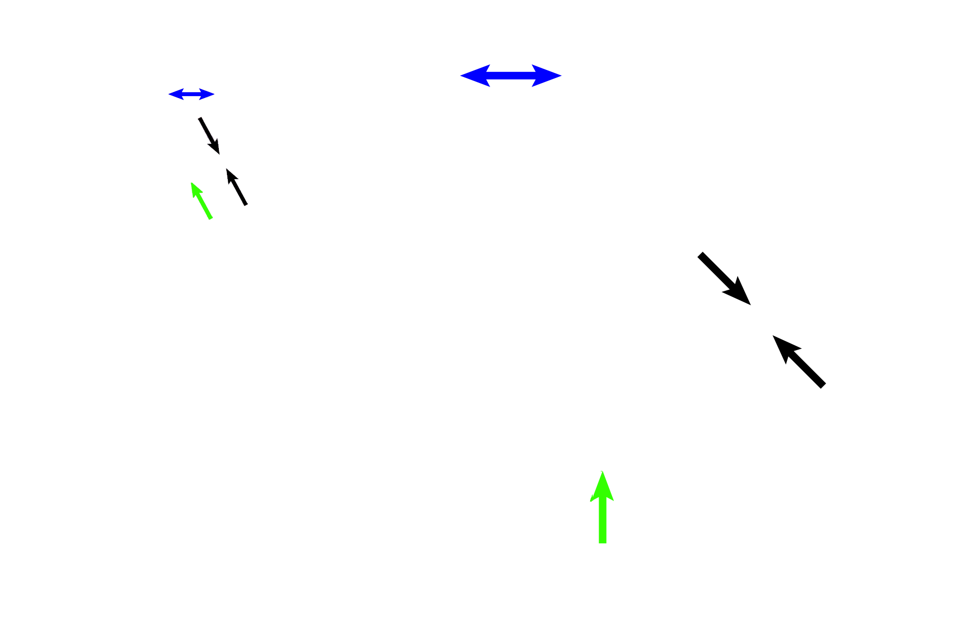 Semicircular canals > <p>Portions of the three semicircular canals, components of the osseous labyrinth, indicate their ring shapes and their attachments to the vestibule. The attachment of one tube is shown with its enlargement, the ampulla (blue arrows). A section of a second canal (black arrows) is visible, and the third canal (green arrows) is shown just at its attachment with the vestibule.</p>
