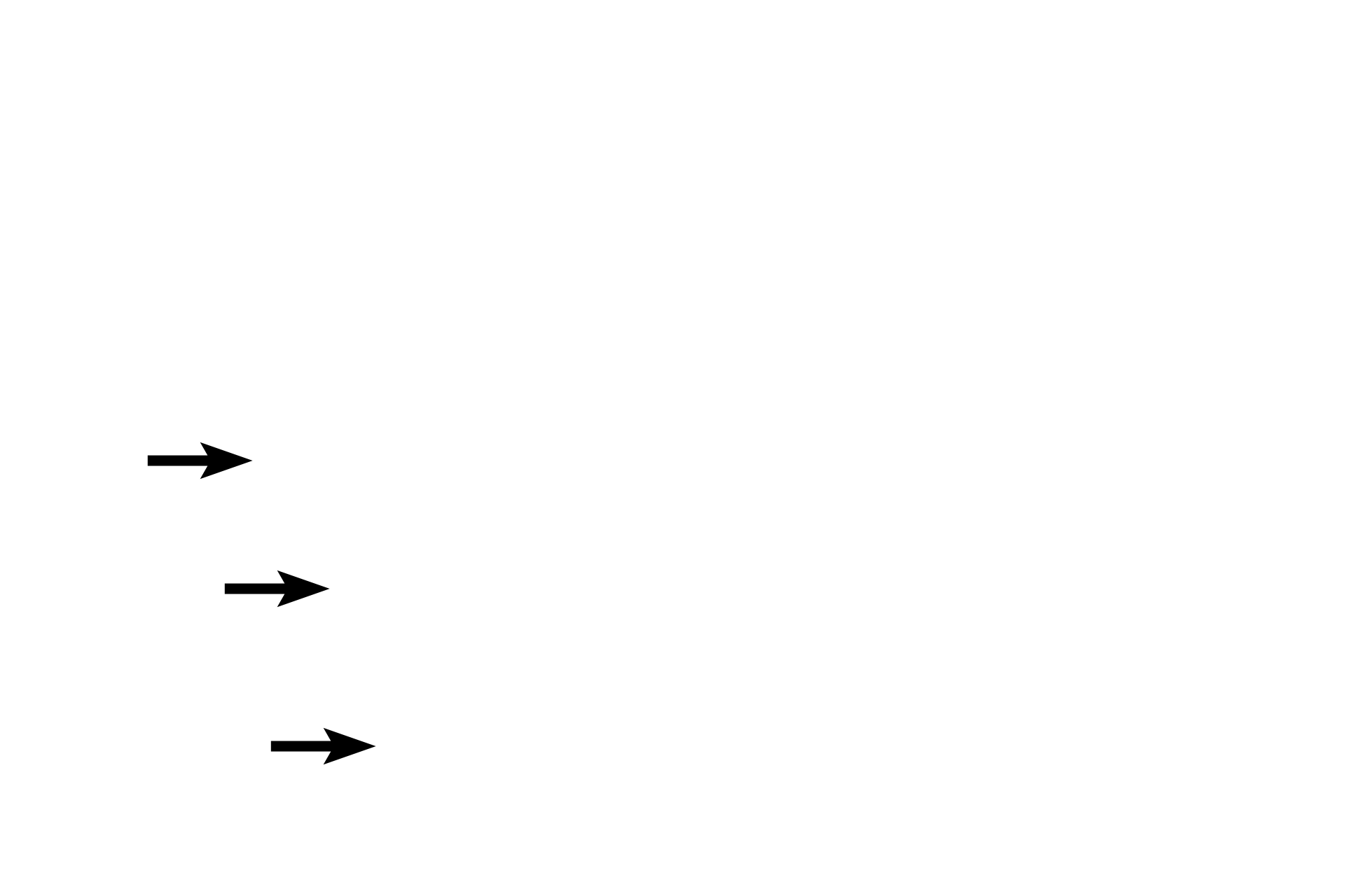 Osteoblasts > <p>Osteoblasts are large, plump cells that synthesize and secrete the organic components of the matrix (osteoid).</p>
