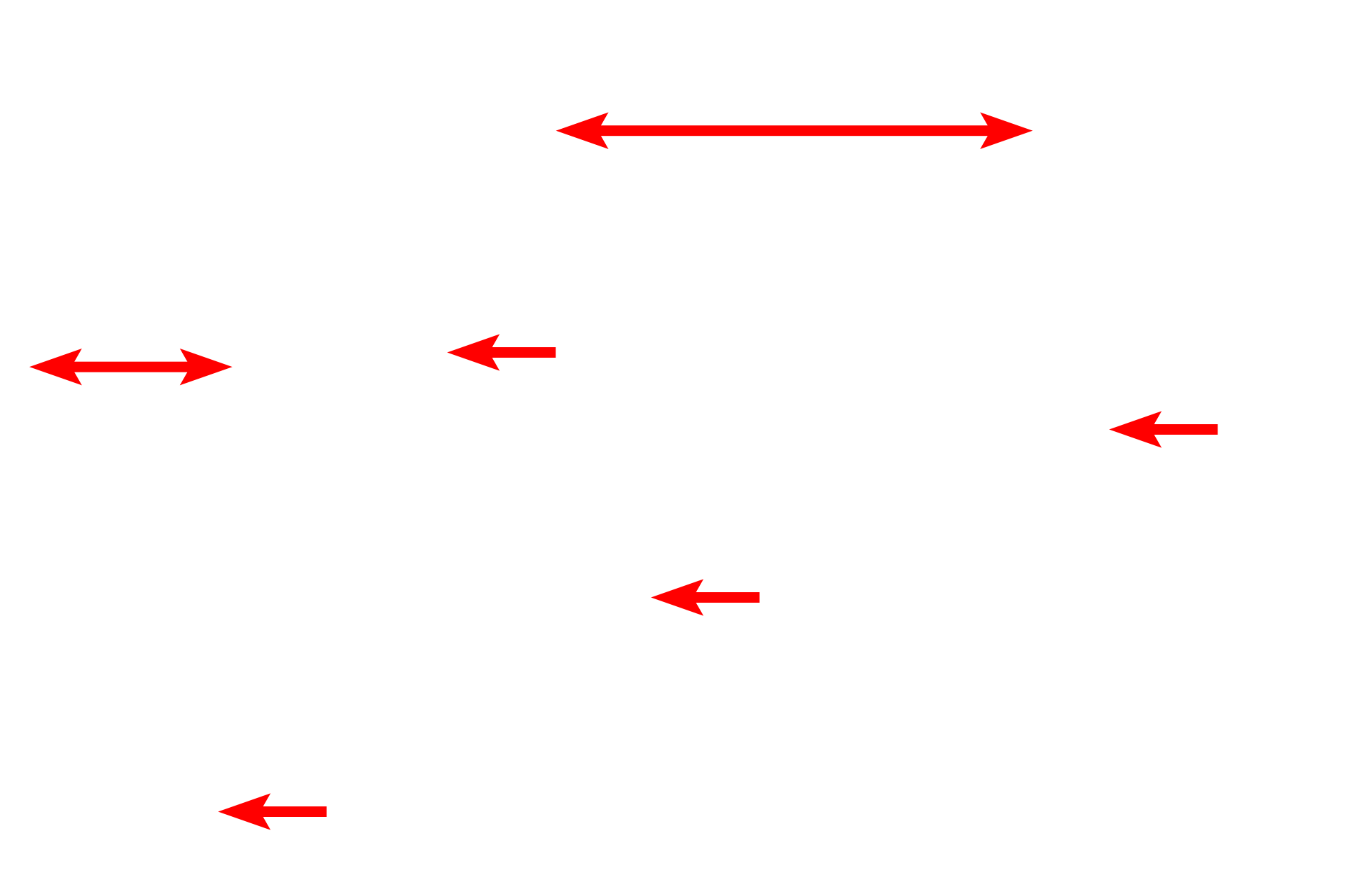 Lymphoid tissue > <p>In addition to supporting lymphoid tissue, the open meshwork of reticular tissue allows for percolation of tissue fluid and lymph around the lymphoid cells for antigen surveillance and initiation of the immune response.</p>
