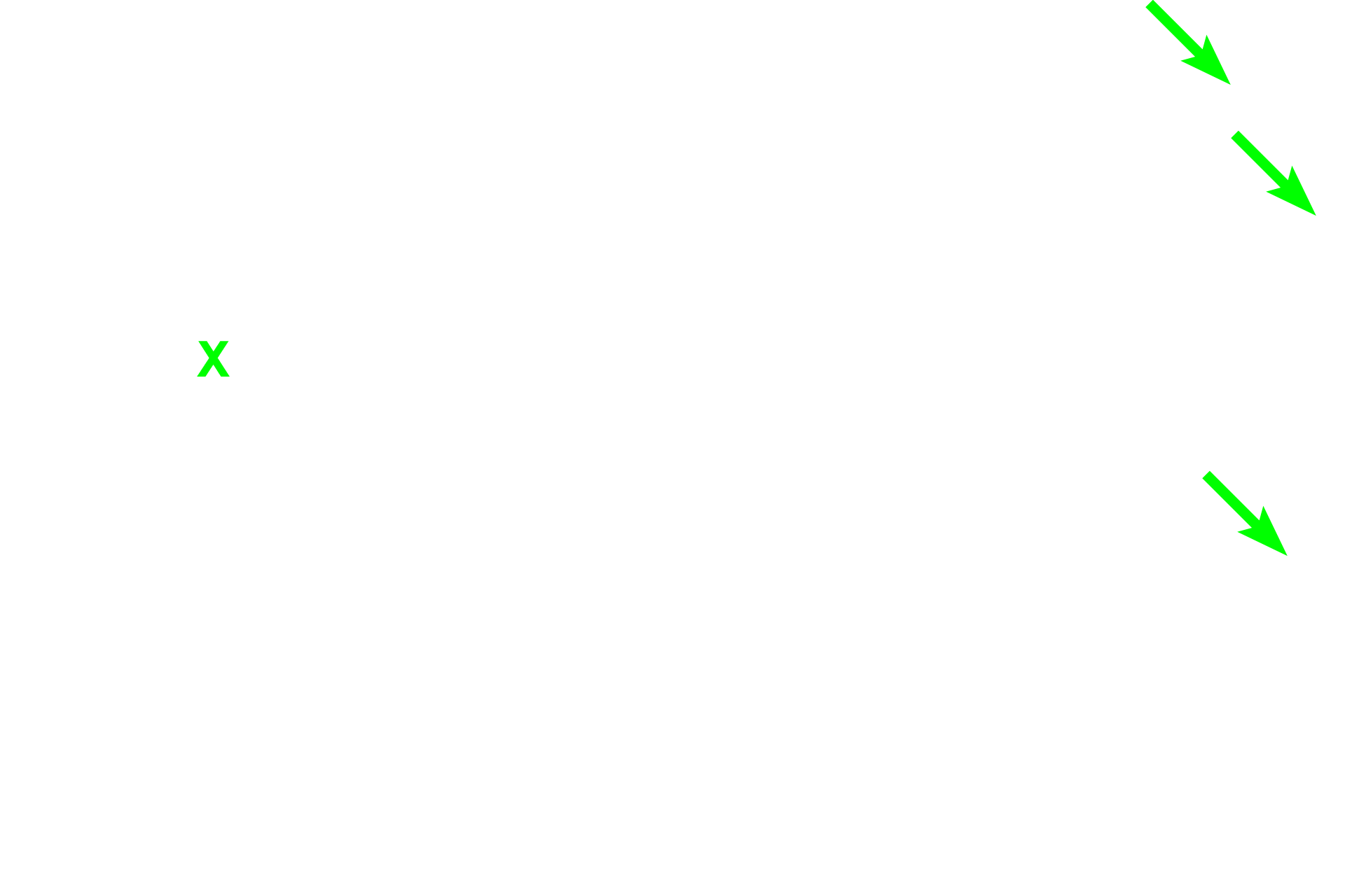  - Marrow > <p>The central cavity of the bone is called the marrow cavity (X) and contains either red marrow (blood forming) or yellow marrow (fat cells).</p>
