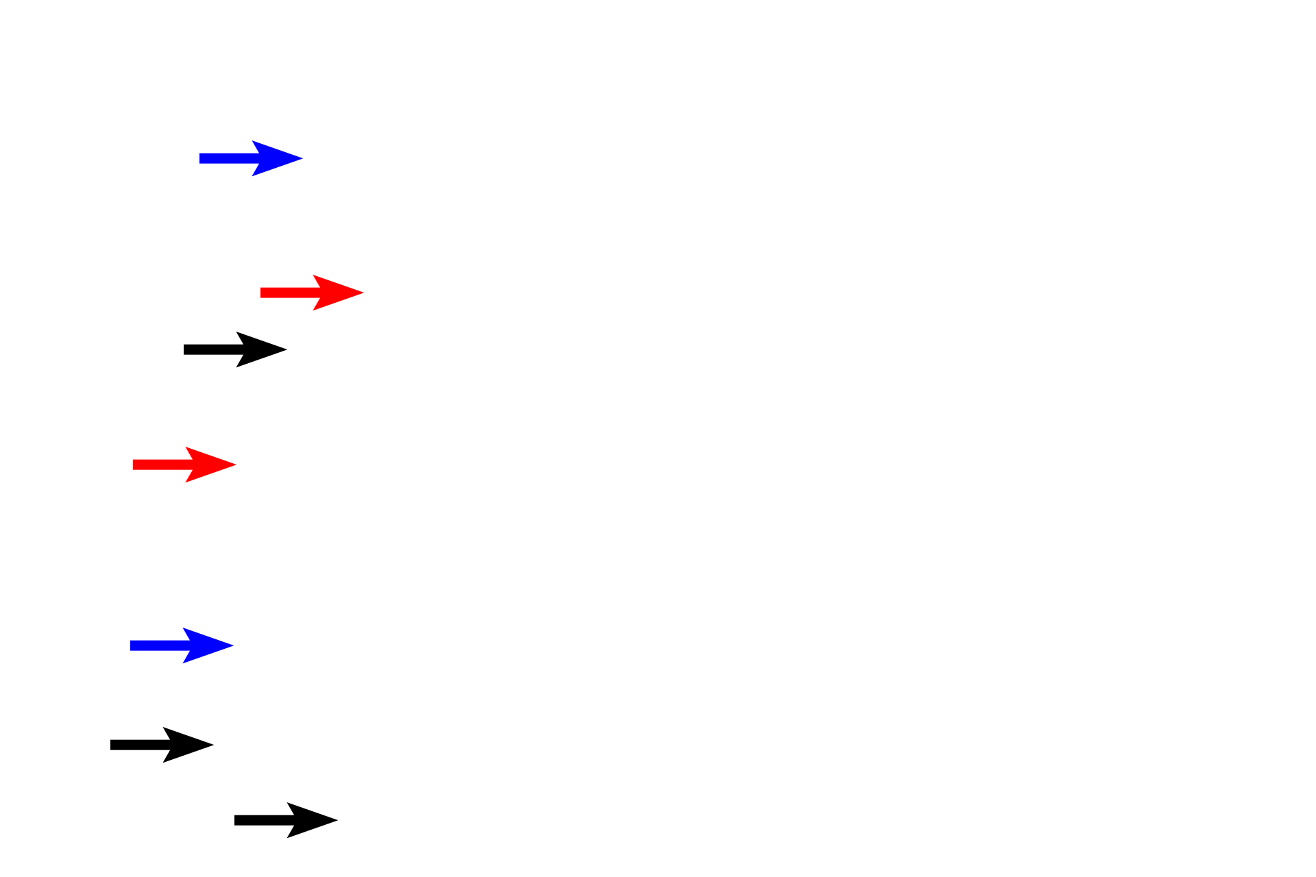 Loose connective tisssue > <p>Loose connective tissue is characterized by having delicate collagen fibers (blue arrows), many and various cell types (black arrows), and a gelatinous ground substance (red arrows). Loose connective tissue provides for diffusion and padding but little strength.</p>
