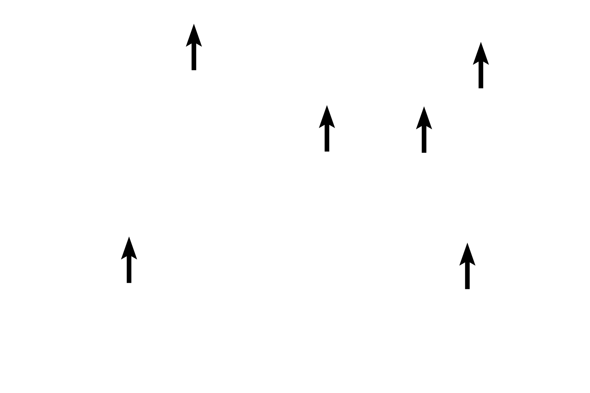 Nuclei <p>In the previous images, skeletal muscle fibers were shown in cross section. In this image, fibers are shown in longitudinal section. Skeletal muscle fibers are long, uniform cylindrical tubes with multiple nuclei that are peripherally located in the fiber, just beneath the plasma membrane (sarcolemma). Clearly seen in these sections are the prominent striations (cross banding), produced by the alignment and overlap of intracellular myofilaments. 400x (top), 1000x (bottom)</p>
