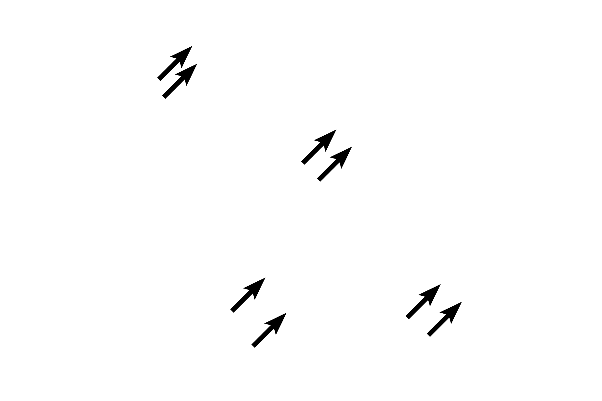 Striations > <p>The striations of skeletal muscle show a regular alternating dark and light pattern. Both skeletal and cardiac muscle fibers are classified as striated and the banding pattern in cardiac muscle is similar. However, the striations are much more prominent in skeletal muscle fibers. The major bands are the A band, I band and Z line.</p>
