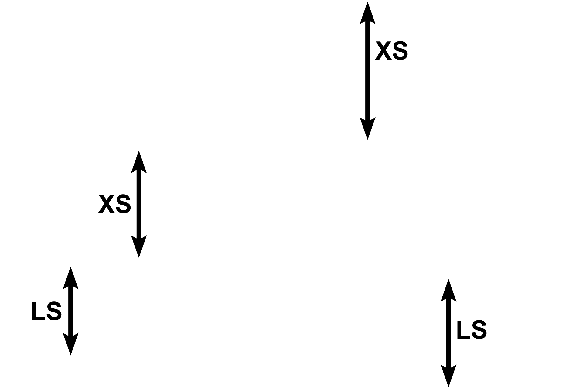 Smooth muscle <p>The cell bodies of multipolar neurons can also be found in autonomic ganglia throughout the body as part of the autonomic nervous system.  This ganglion is a component of the parasympathetic division and contains multipolar, motor neurons.  The ganglion is located in the wall of the digestive tract, between layers of smooth muscle which it innervates.  Autonomic neurons generally have an eccentric nucleus and Nissl that forms a more delicate, lacy pattern compared with the more coarse arrangement seen in multipolar neurons in the central nervous system.  The other nuclei in the ganglion are those of Schwann cells.  400x.</p>
