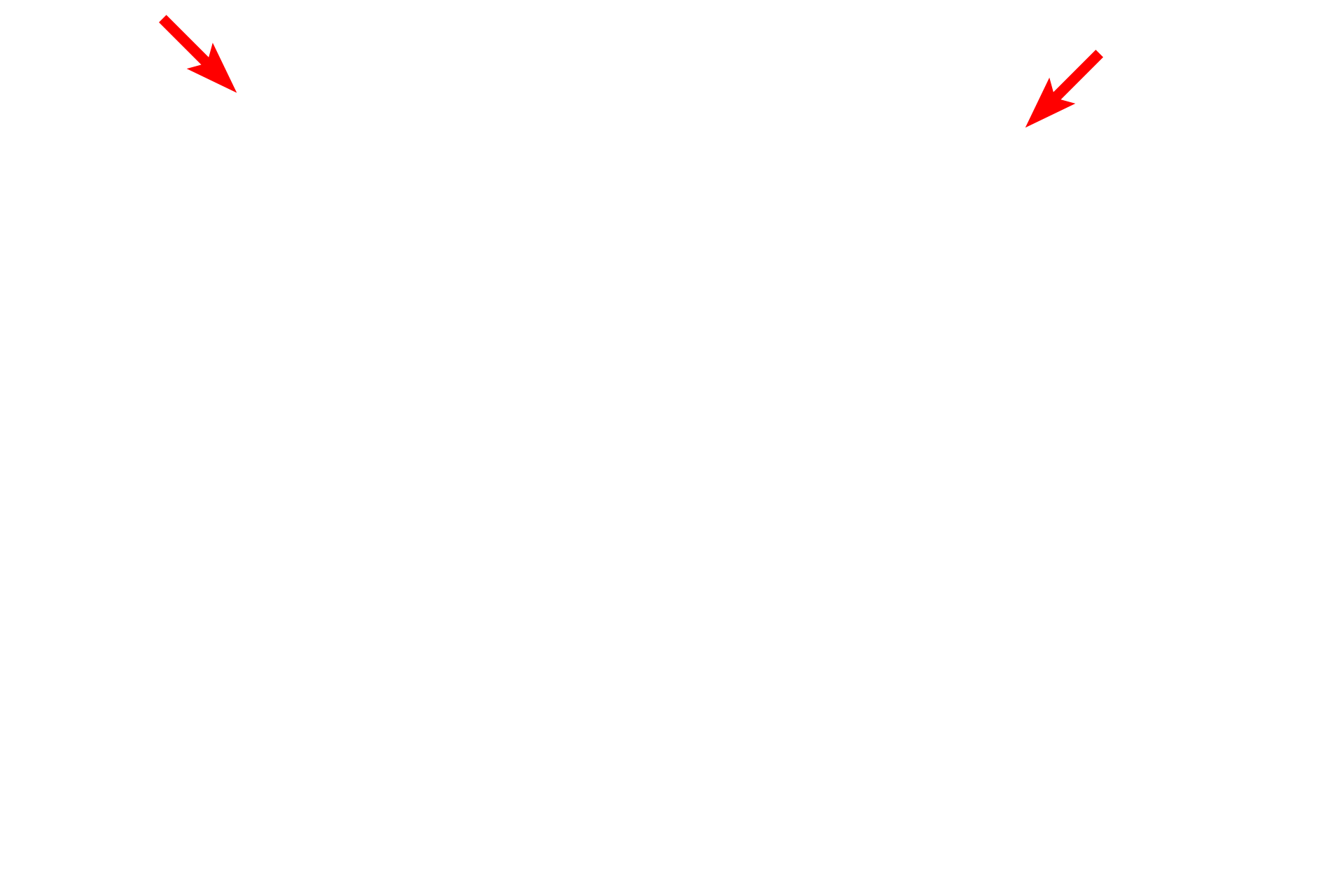 Electron source <p>Electrons are emitted from a wire filament located at the top of the column.</p>
