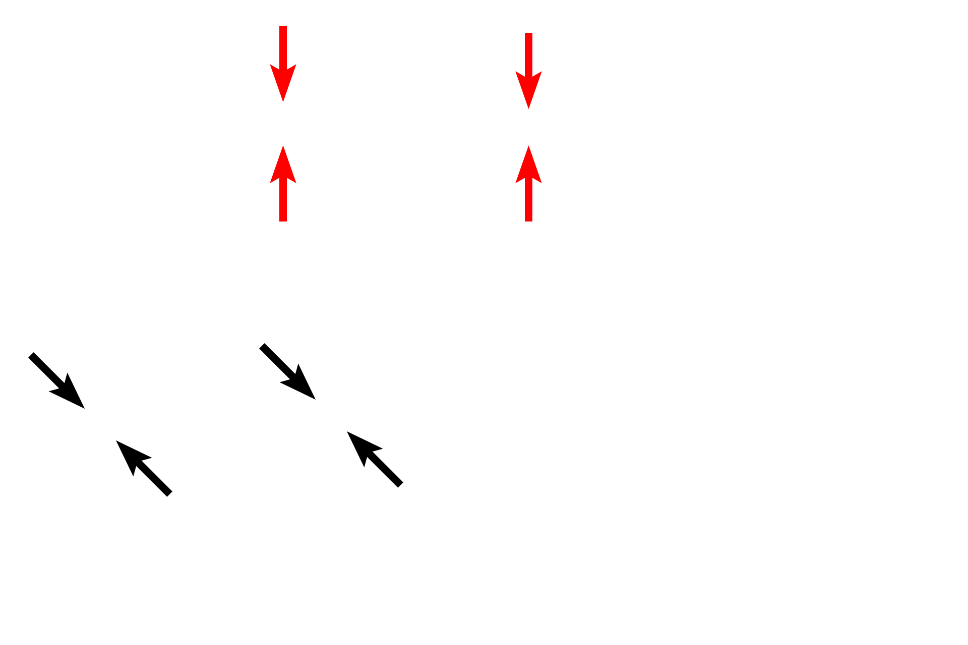 Mucosa <p>The large intestine is composed of the four basic tunics found throughout the tubular digestive system.  It is differentiated from small intestine by it overall flat surface, lack of villi, straight intestinal glands and taeniae coli.  The large intestine is the site of water absorption and fecal formation.  The large intestine was cut in cross section in the top left images and longitudinally through a taenia coli in the bottom images.  10x, 10x, 100x, 100x</p>
