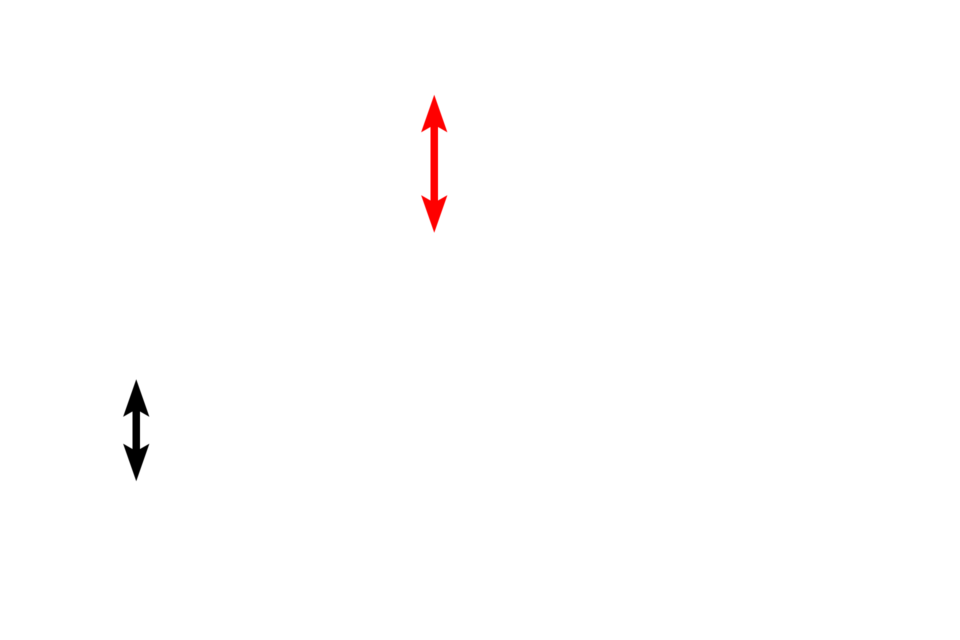 Submucosa <p>The large intestine is composed of the four basic tunics found throughout the tubular digestive system.  It is differentiated from small intestine by it overall flat surface, lack of villi, straight intestinal glands and taeniae coli.  The large intestine is the site of water absorption and fecal formation.  The large intestine was cut in cross section in the top left images and longitudinally through a taenia coli in the bottom images.  10x, 10x, 100x, 100x</p>
