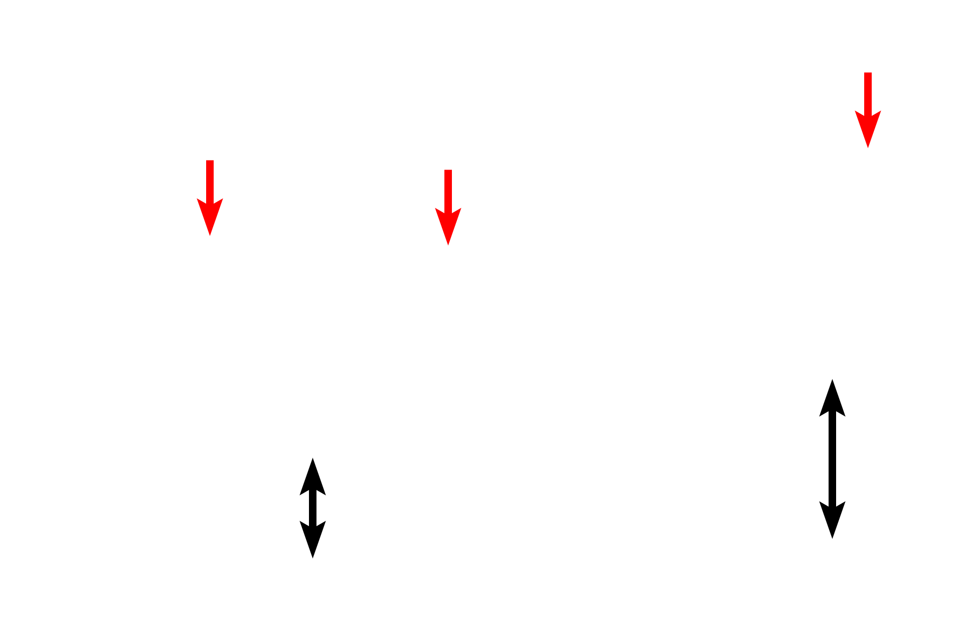 Inner muscularis externa <p>The large intestine is composed of the four basic tunics found throughout the tubular digestive system.  It is differentiated from small intestine by it overall flat surface, lack of villi, straight intestinal glands and taeniae coli.  The large intestine is the site of water absorption and fecal formation.  The large intestine was cut in cross section in the top left images and longitudinally through a taenia coli in the bottom images.  10x, 10x, 100x, 100x</p>
