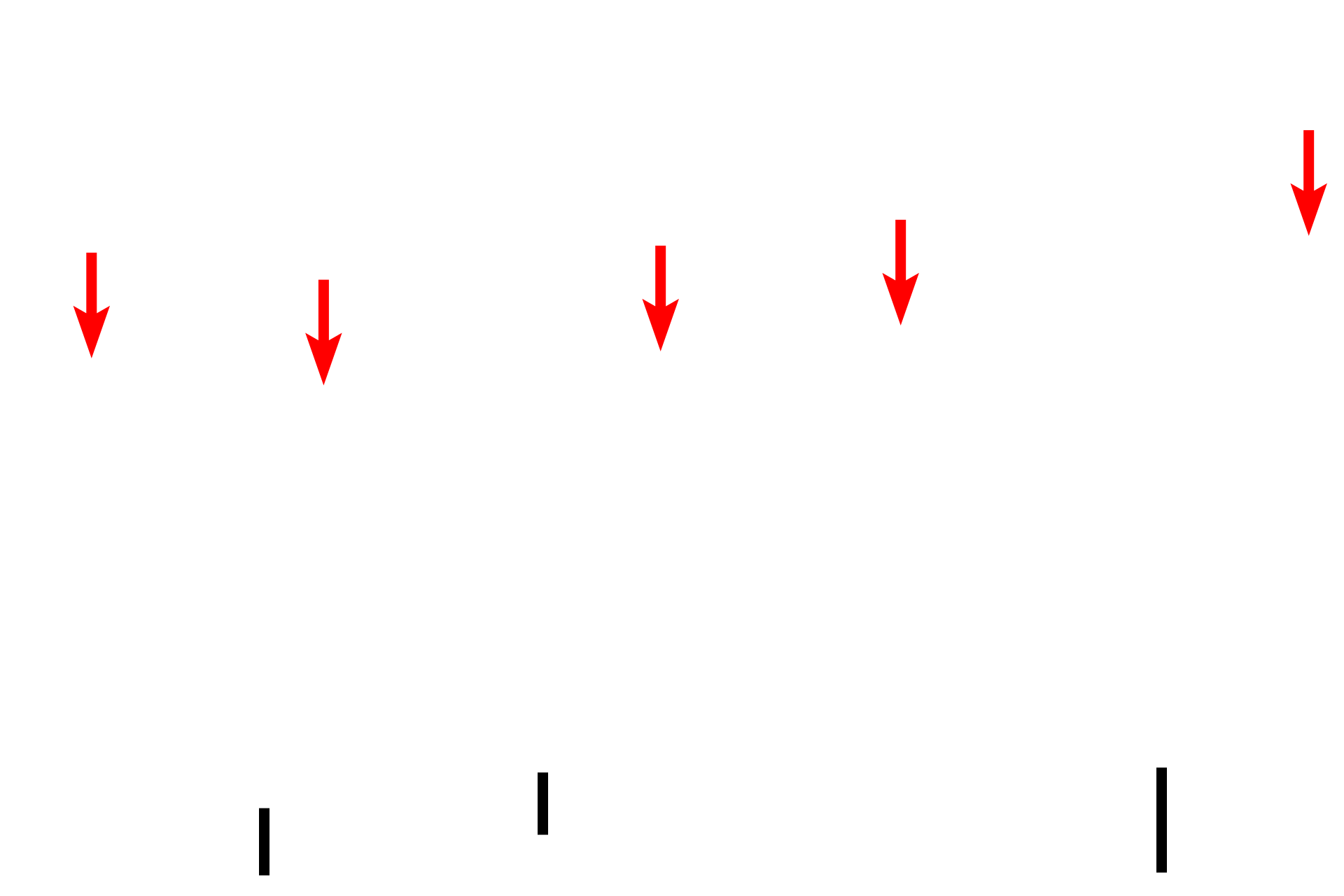 Outer muscularis externa <p>The large intestine is composed of the four basic tunics found throughout the tubular digestive system.  It is differentiated from small intestine by it overall flat surface, lack of villi, straight intestinal glands and taeniae coli.  The large intestine is the site of water absorption and fecal formation.  The large intestine was cut in cross section in the top left images and longitudinally through a taenia coli in the bottom images.  10x, 10x, 100x, 100x</p>
