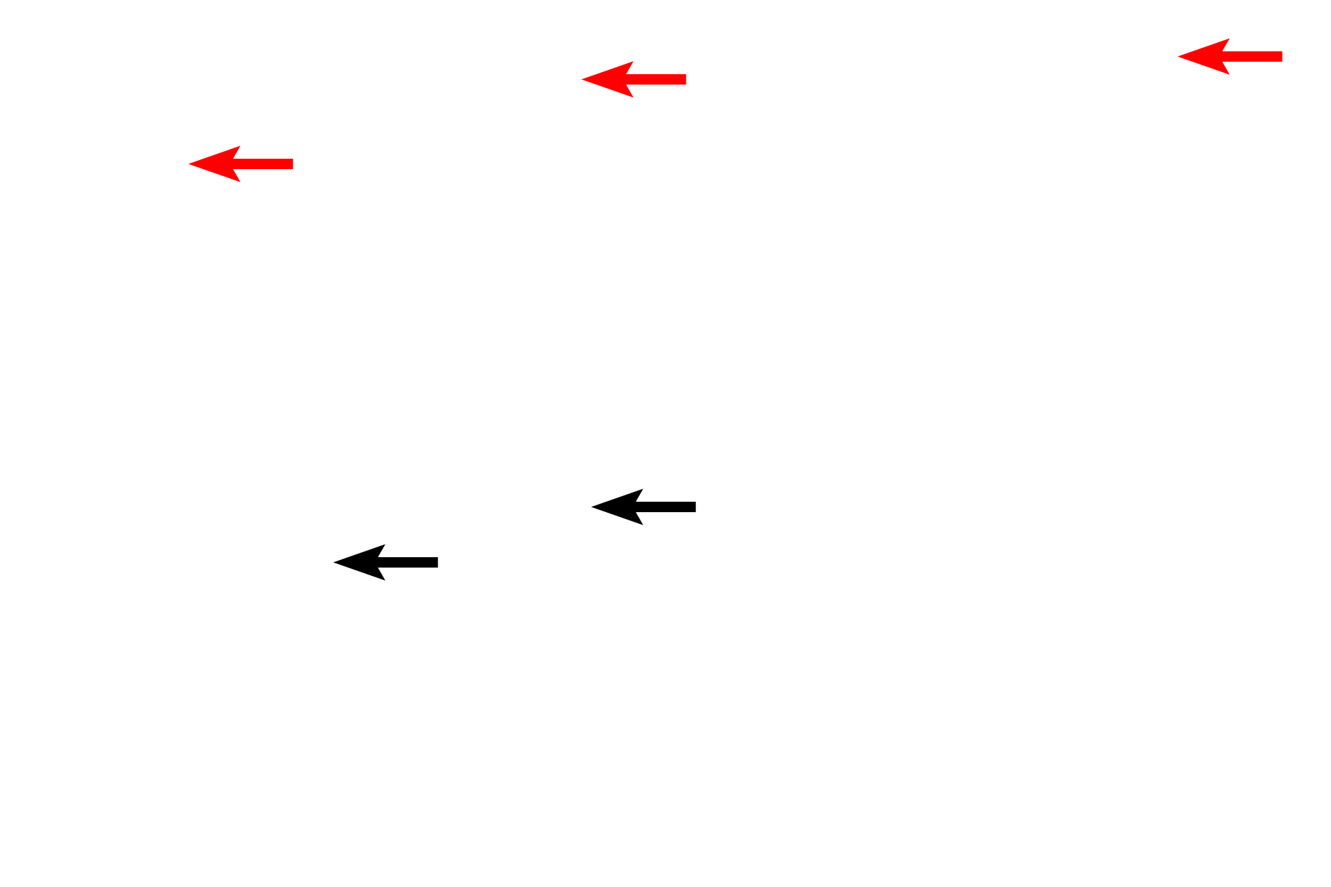  - Intestinal glands <p>The large intestine is composed of the four basic tunics found throughout the tubular digestive system.  It is differentiated from small intestine by it overall flat surface, lack of villi, straight intestinal glands and taeniae coli.  The large intestine is the site of water absorption and fecal formation.  The large intestine was cut in cross section in the top left images and longitudinally through a taenia coli in the bottom images.  10x, 10x, 100x, 100x</p>
