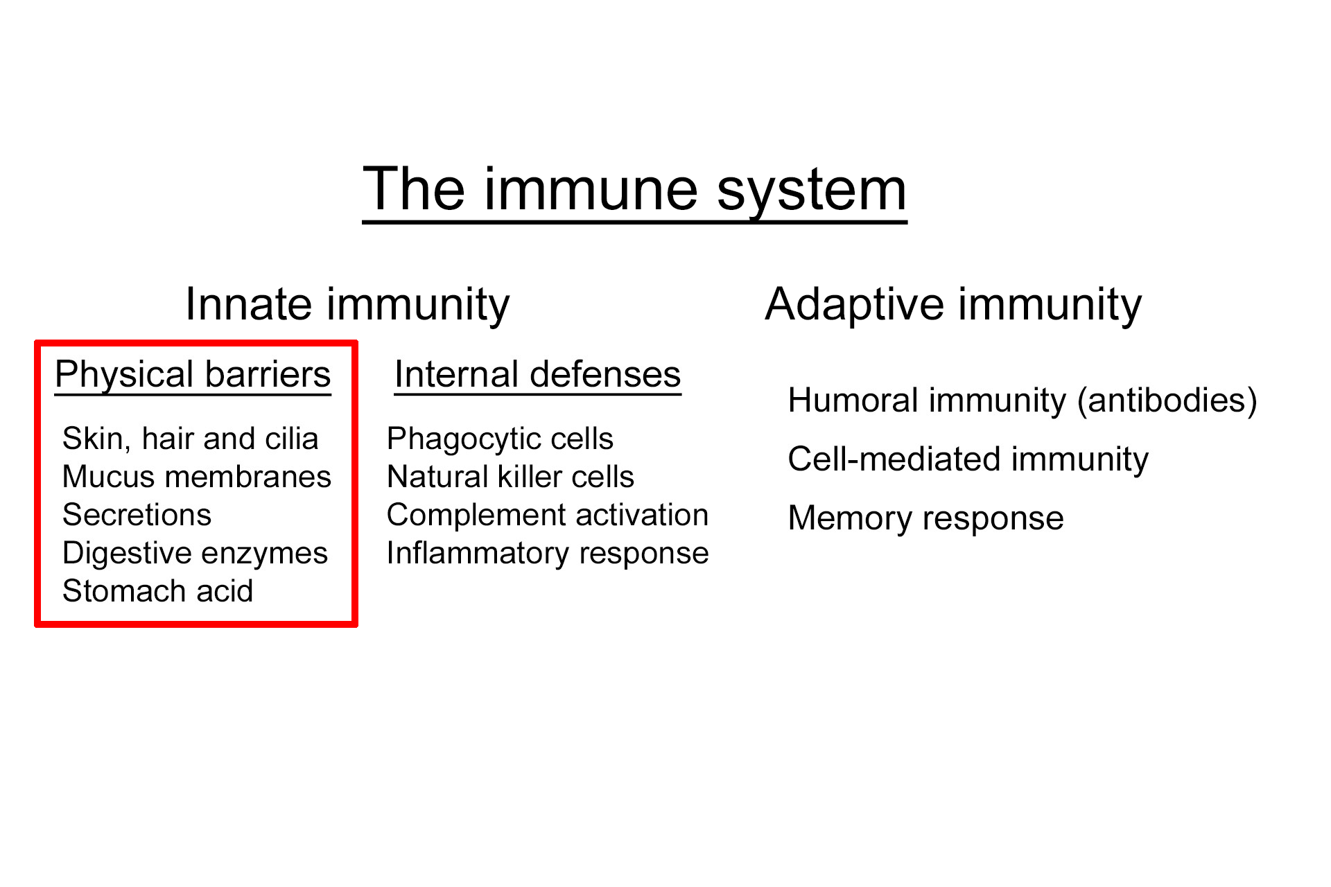  -- Physical barriers >  <p>The innate immune system initially consists of physical barriers to pathogens, such as the skin and mucus membranes, as well as chemical defenses including digestive enzymes and stomach acid that destroy microorganisms.</p>
