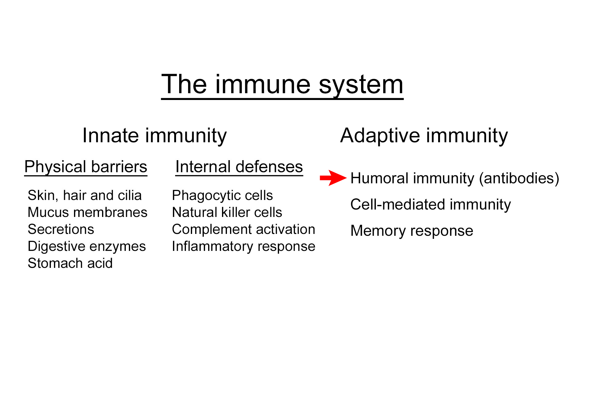  -- Humoral immunity > <p>Humoral immunity entails the secretion of antibodies (immunoglobulins) by activated B lymphocytes.  Antibodies are multimeric proteins that recognize and bind to specific antigens.  They can inactivate viruses and microbial toxins, as well as marking invading pathogens for destruction by phagocytic cells.</p>
